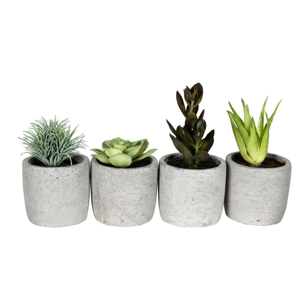 Vickerman FV192246 6-in Green Indoor Succulent Artificial Plant