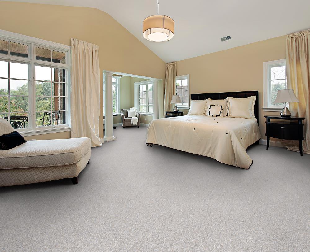 STAINMASTER DL002-306 Carpet-Panel - View #2