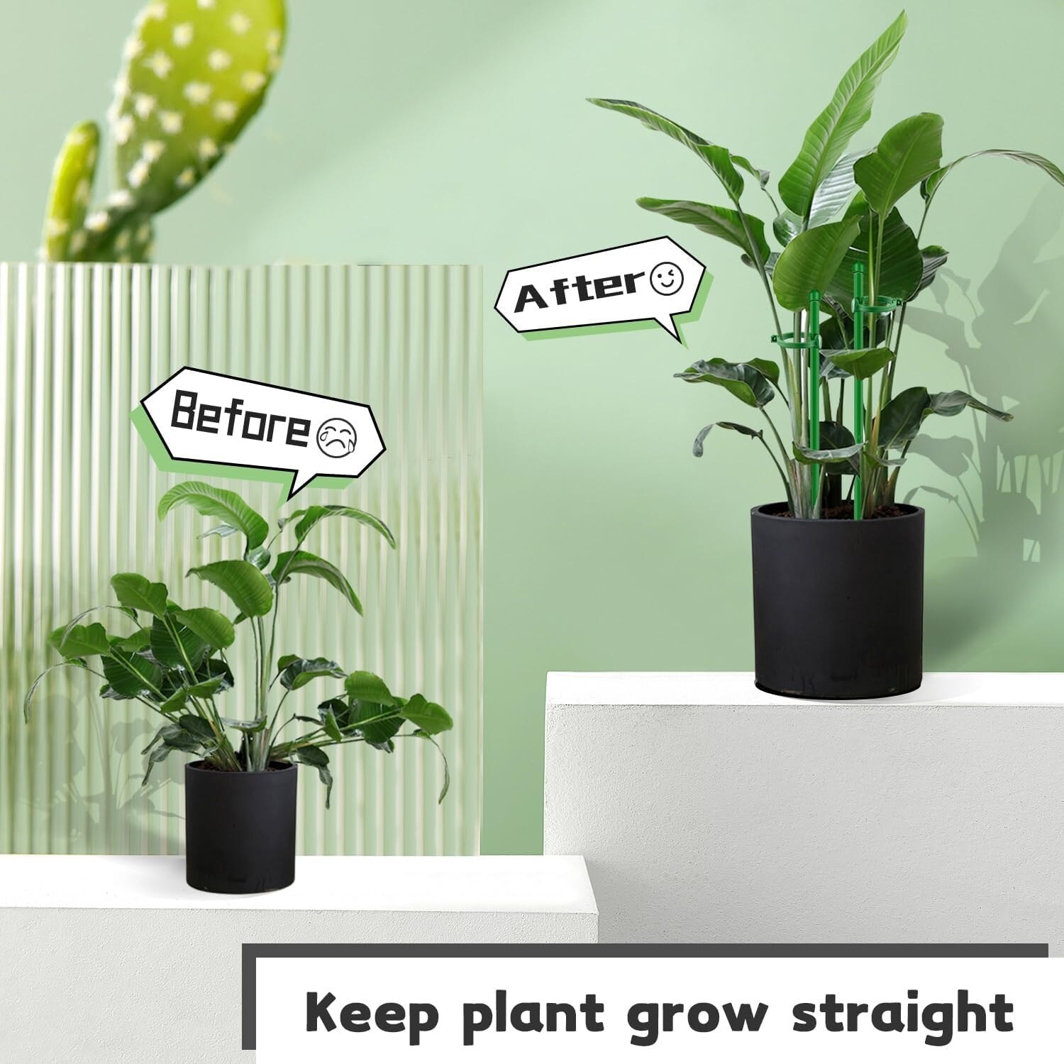 Adrinfly LAD0522D078 Tree-Stakes-Ties - View #7