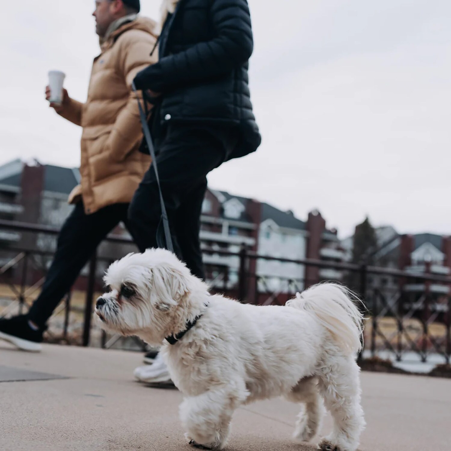HOOZA G0080187828161 Leashes-Leads - View #6