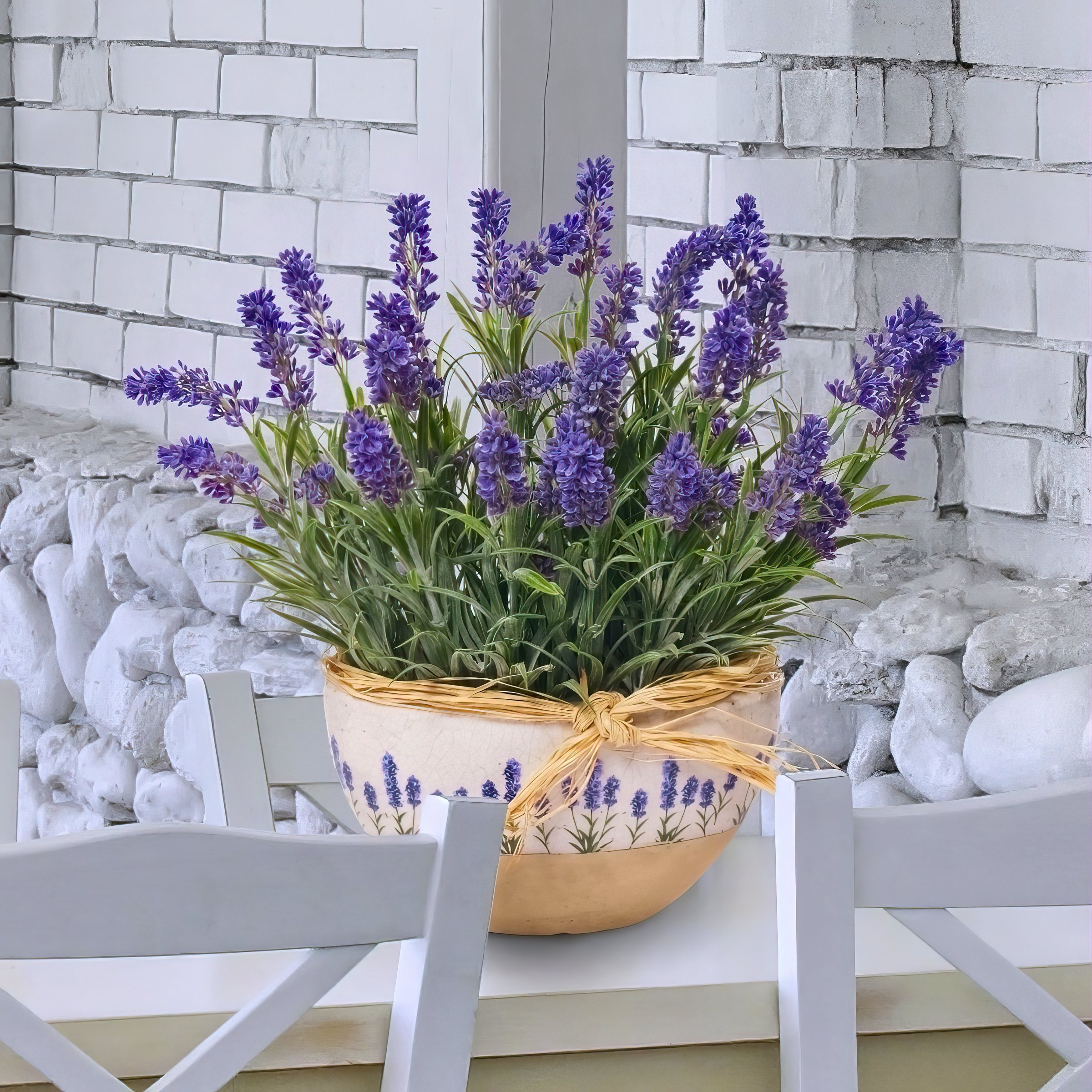 National Plant Network LW2582 annuals - View #5