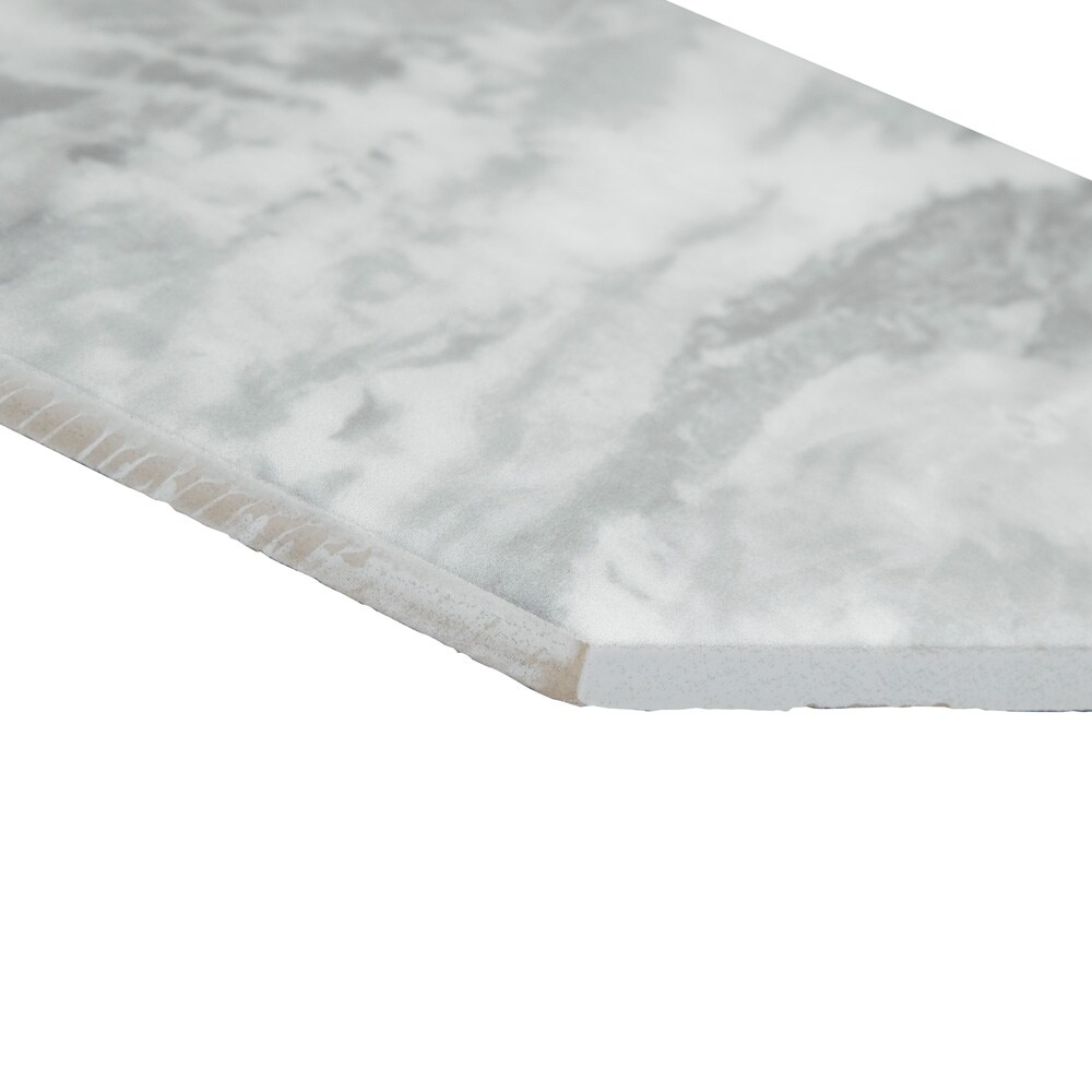 Affinity Tile S1FEQ8BXL Tile-Samples - View #2