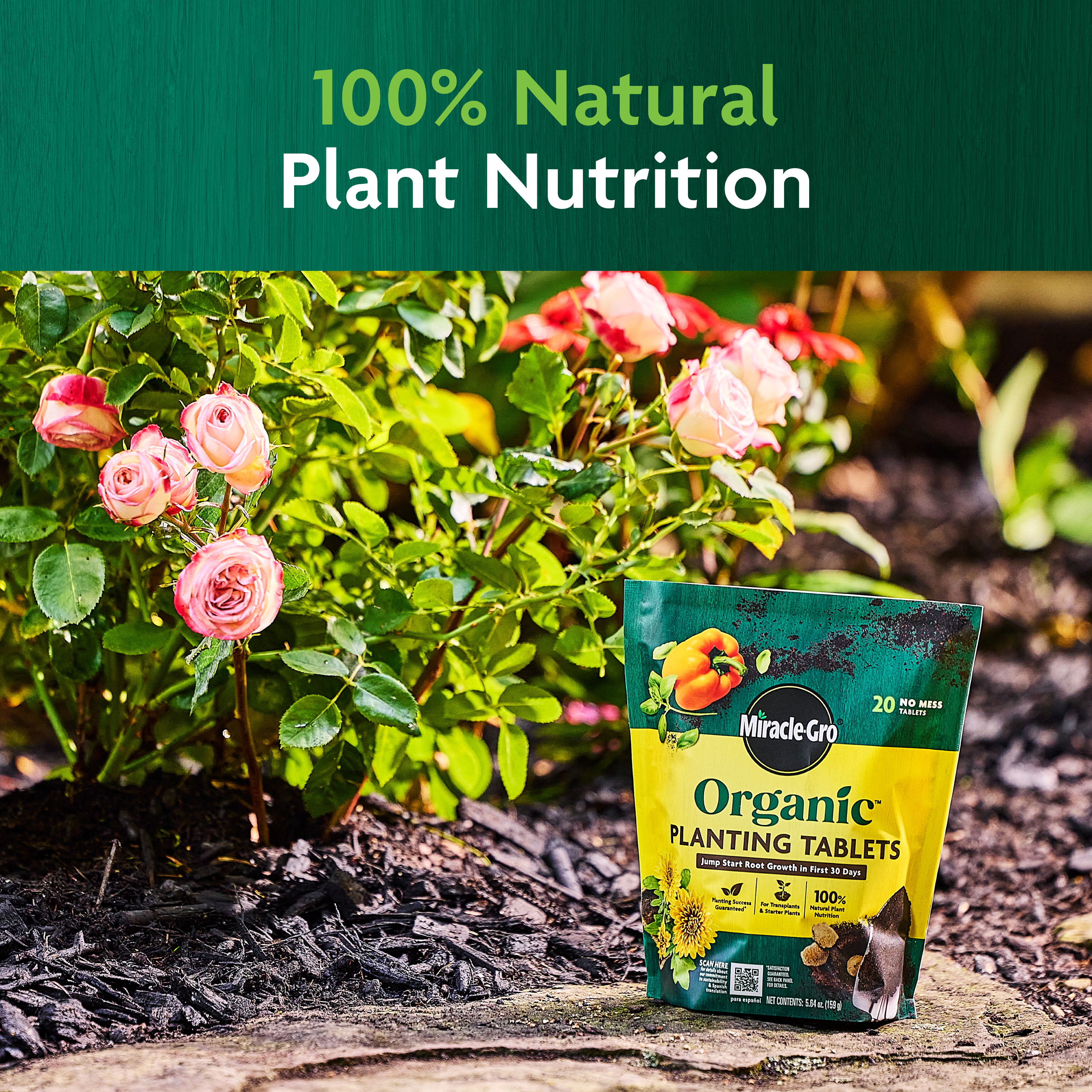 Miracle-Gro 3784506 Plant-Food - View #7