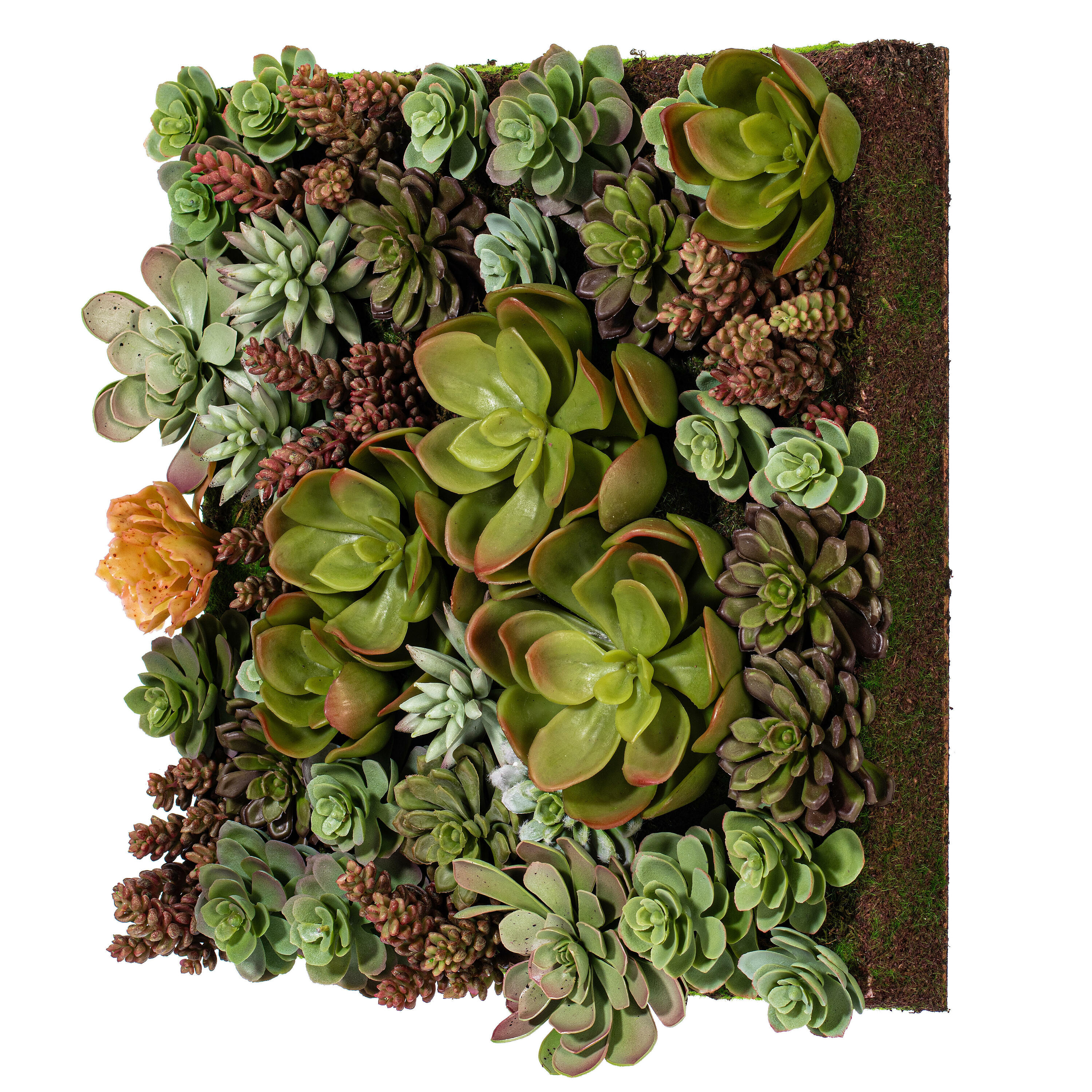 Vickerman FX190617 16.5-Inches Multicolor Indoor Wall Succulent Artificial plant