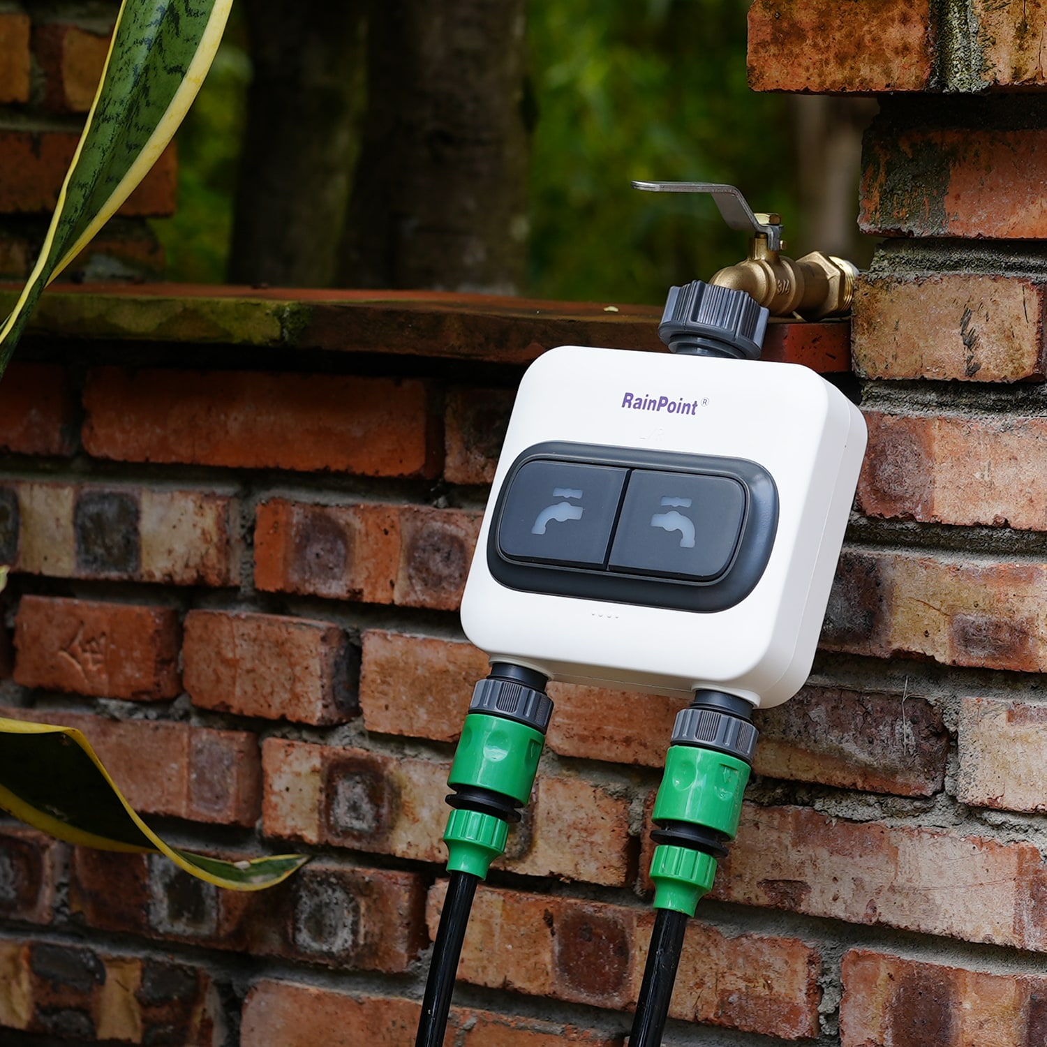 RainPoint HIS019WRF+HTV213FRF Irrigation-Timers - View #4