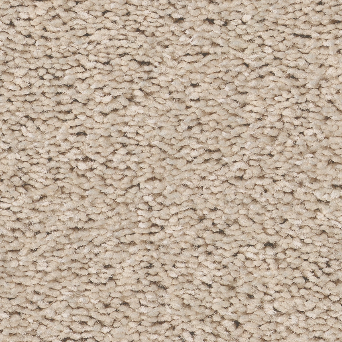 Style Selections 7L84700100 Dialed In II Halo Off-white 35-oz sq yard Polyester Textured Indoor Carpet