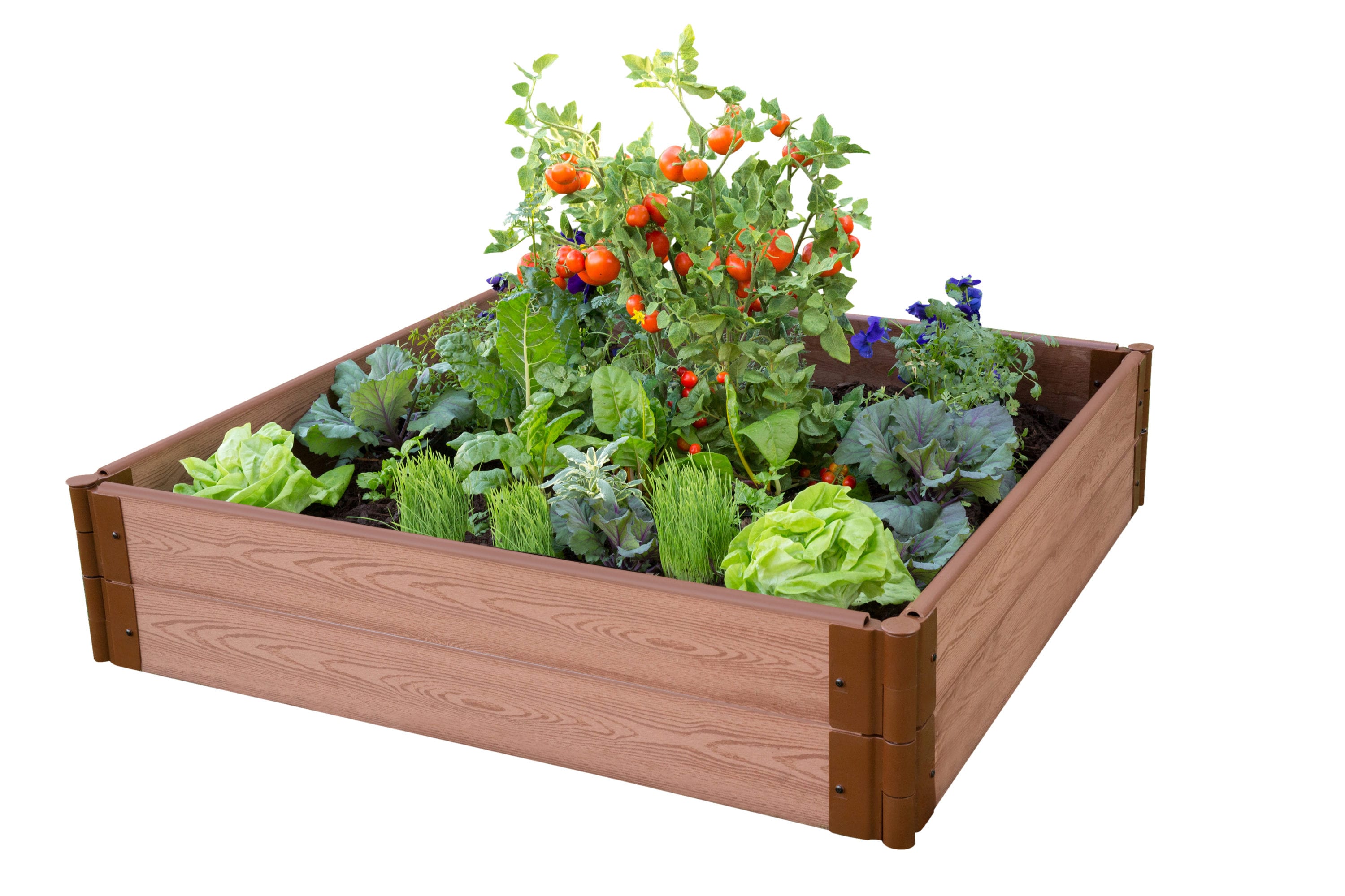 Image of Combination Raised Garden Box lowes