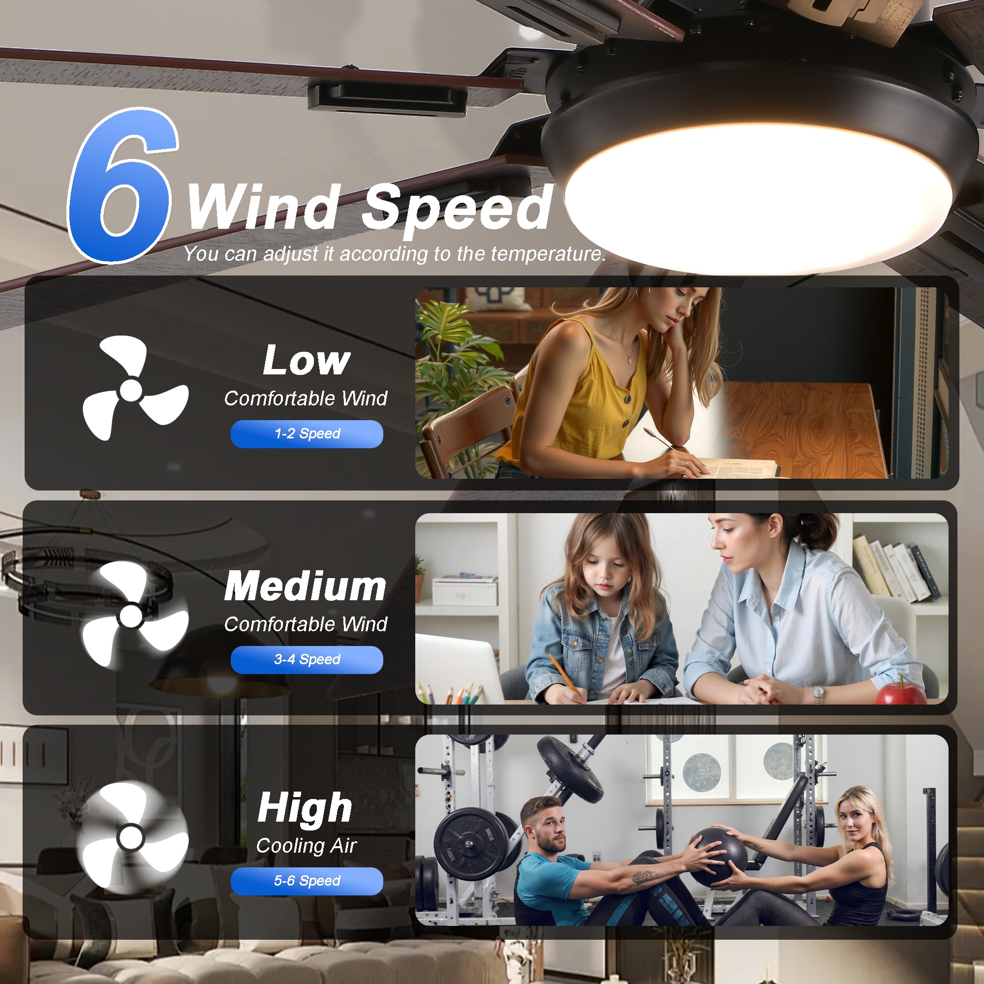 Sunrinx MG9-CF-19 Ceiling-Fans - View #10