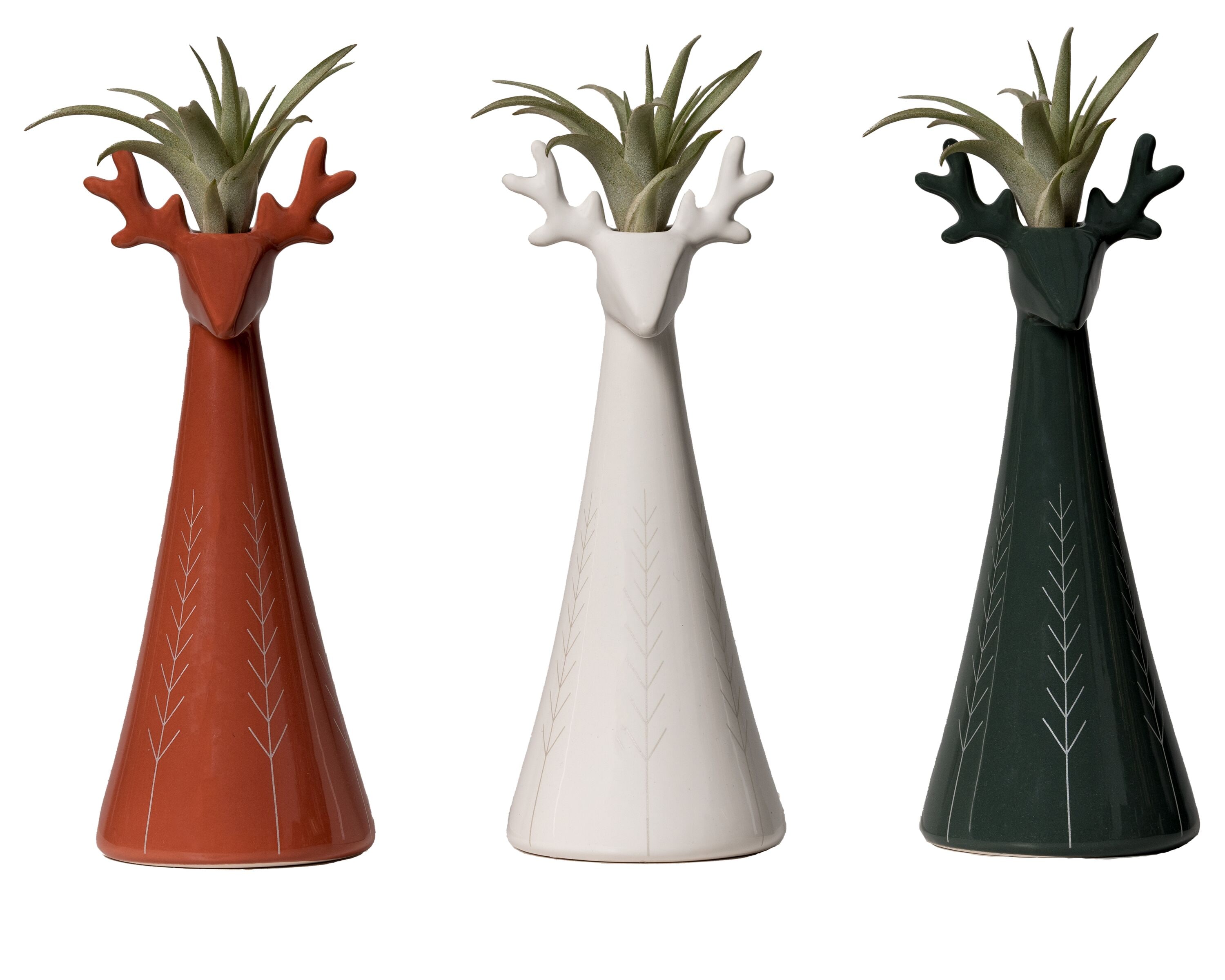 LiveTrends ASB06274 REINDEER House plant in 1 Pack Pot 1.0 -Pack