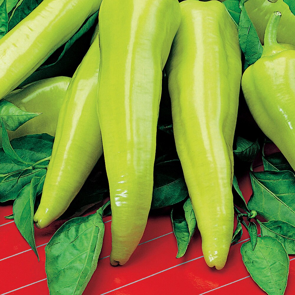 Ferry-Morse LC25.7535 Vegetable-Herb-Seeds - View #3