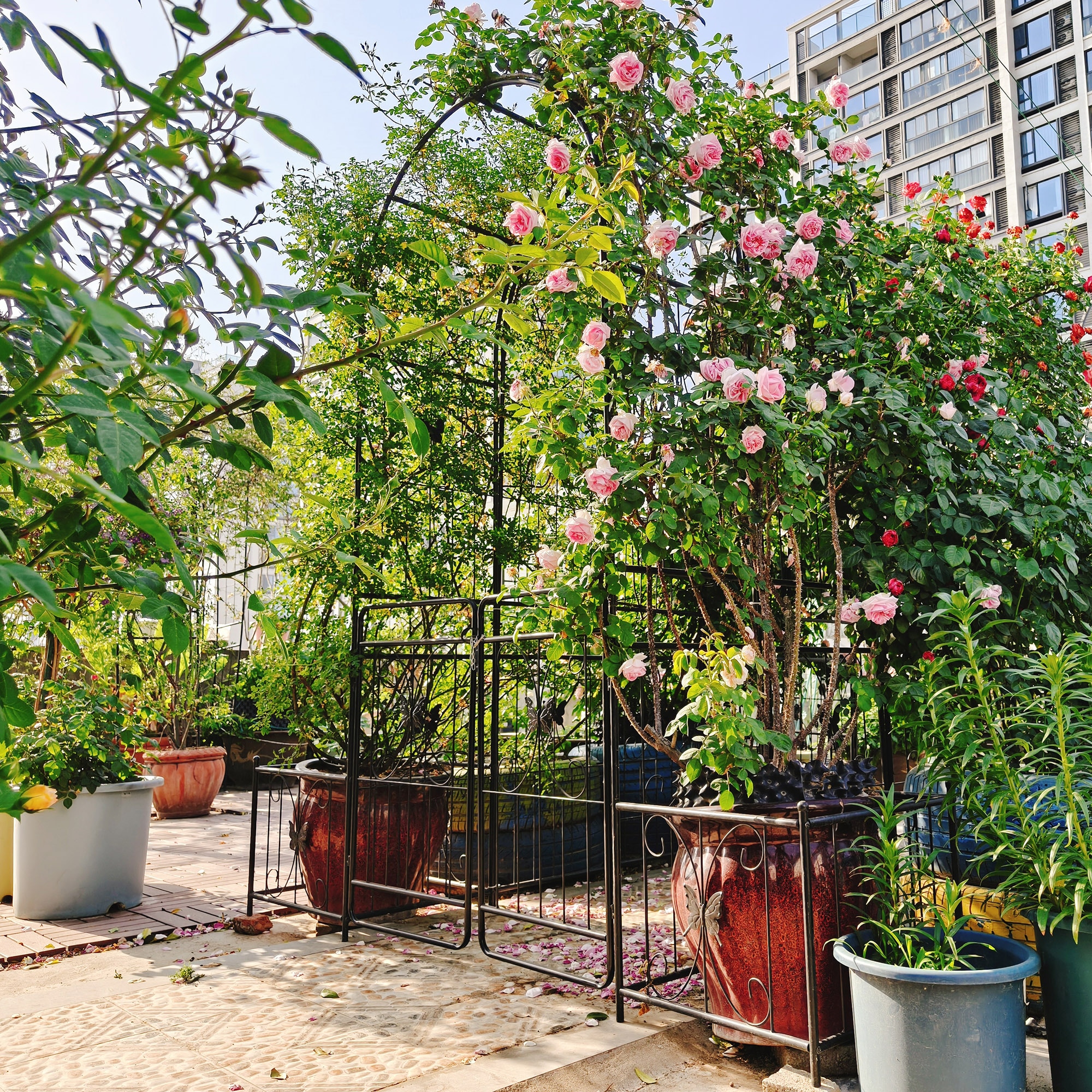 Tatayosi XH-148090 Garden-Arbor - View #4