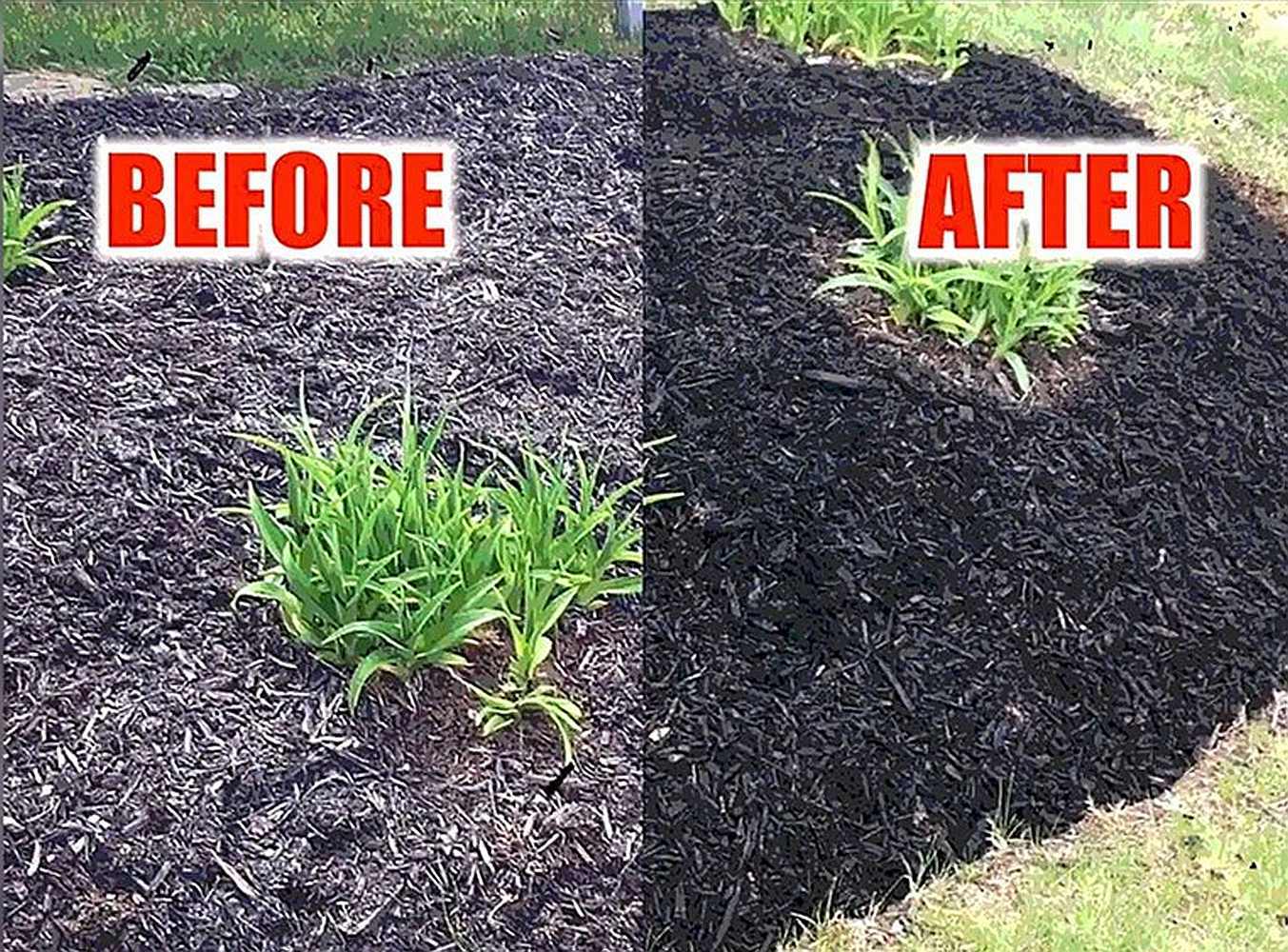The black mulch dye from @petramax is amazing! I highly recommend it t