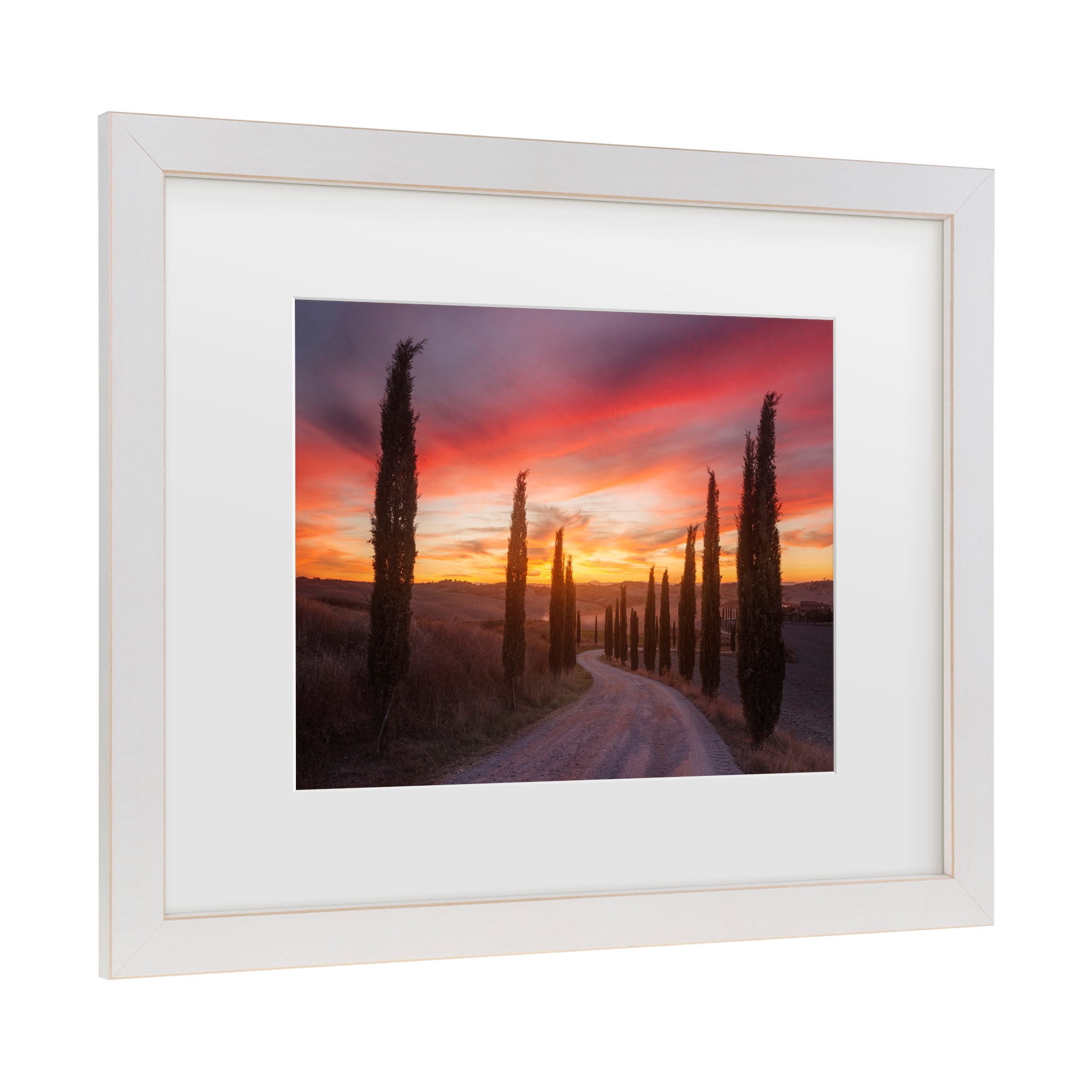 Trademark Fine Art 1X10947-E1114MF Wall-Art - View #3