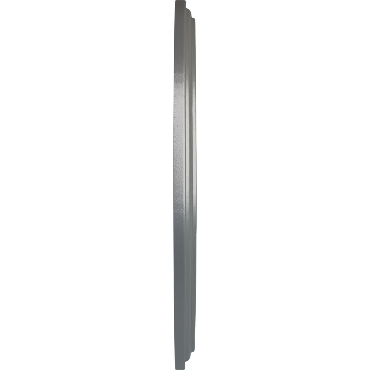 Ekena Millwork CM16GNSLS Ceiling-Medallions - View #3