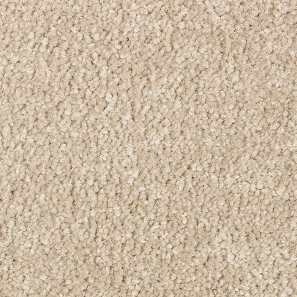 STAINMASTER STP67-12-L015 Serenity Stride II Vintage Brown 60-oz sq yard Polyester Textured Indoor Carpet