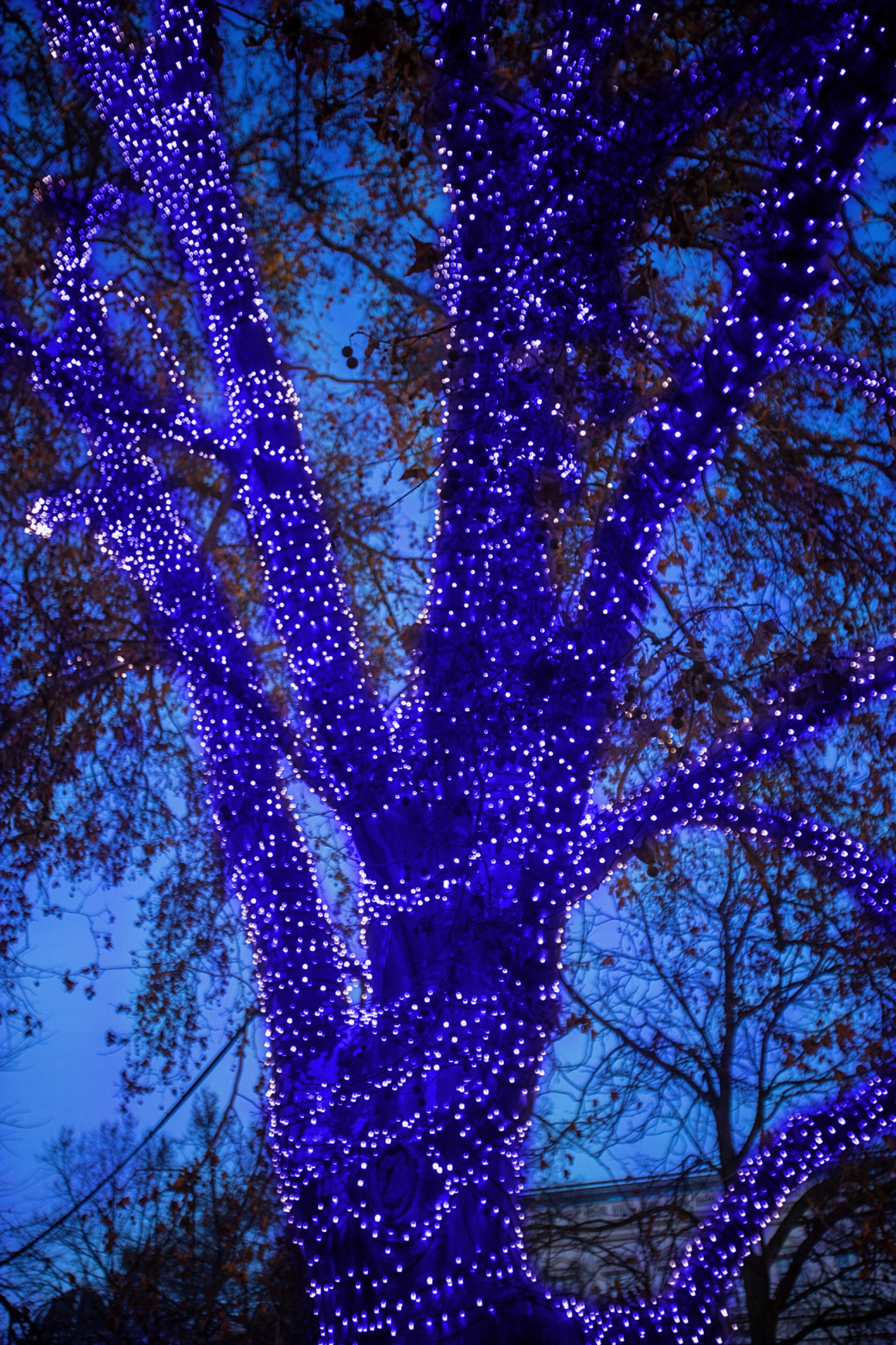 HoliScapes B-5MM-70-4PK Christmas-String-Lights - View #4