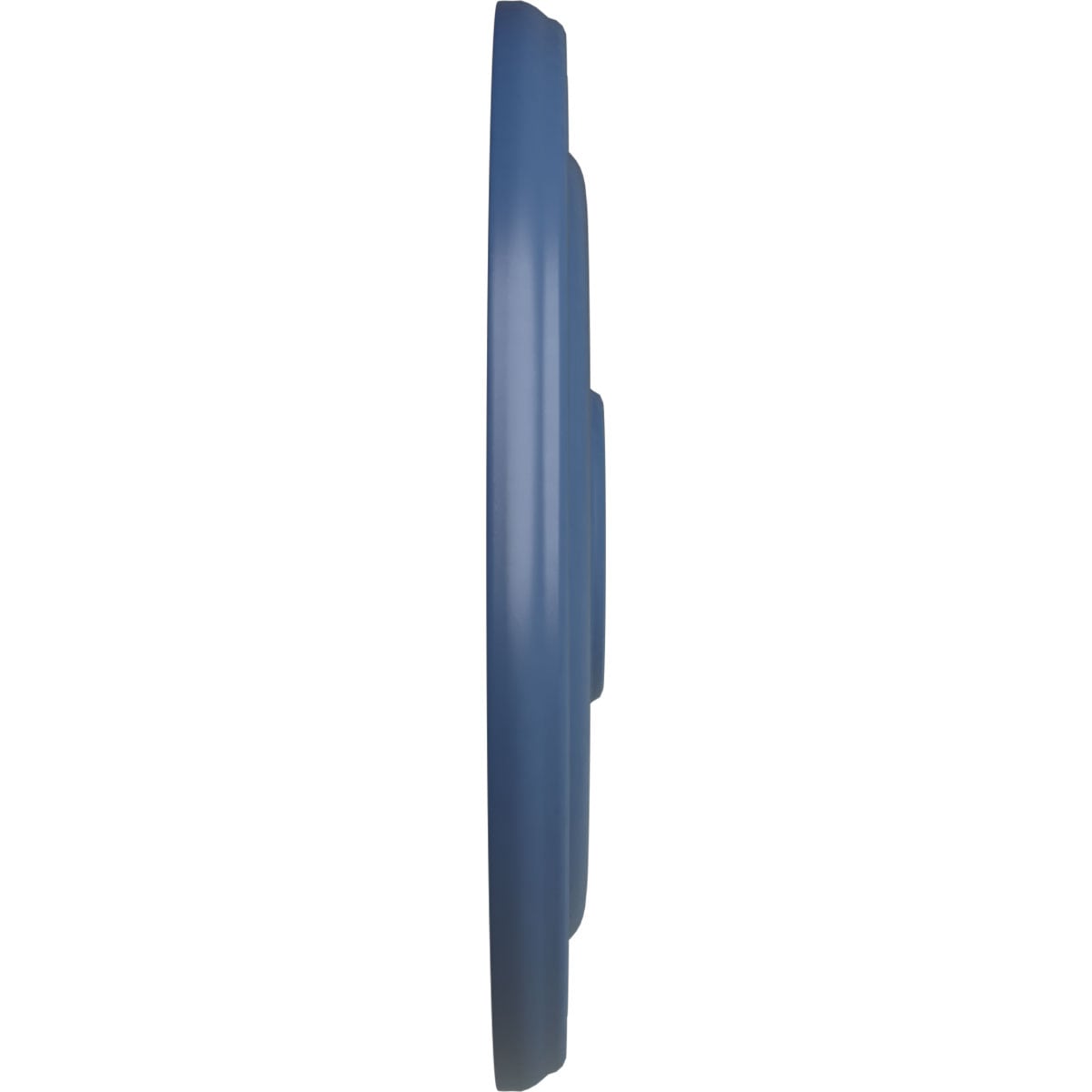 Ekena Millwork CM16KPAMF Ceiling-Medallions - View #3