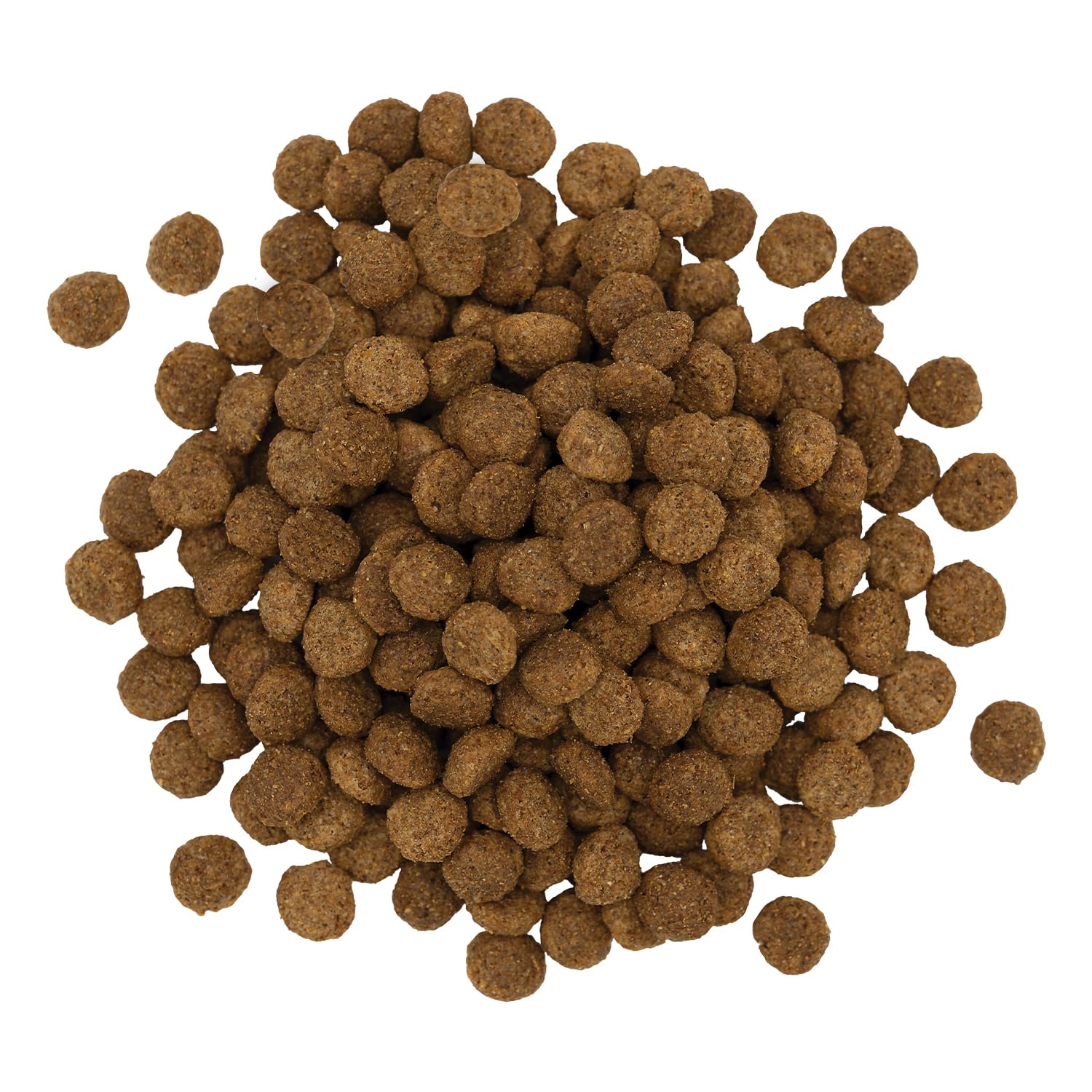 Kent 7862 Wet-Dog-Food - View #3