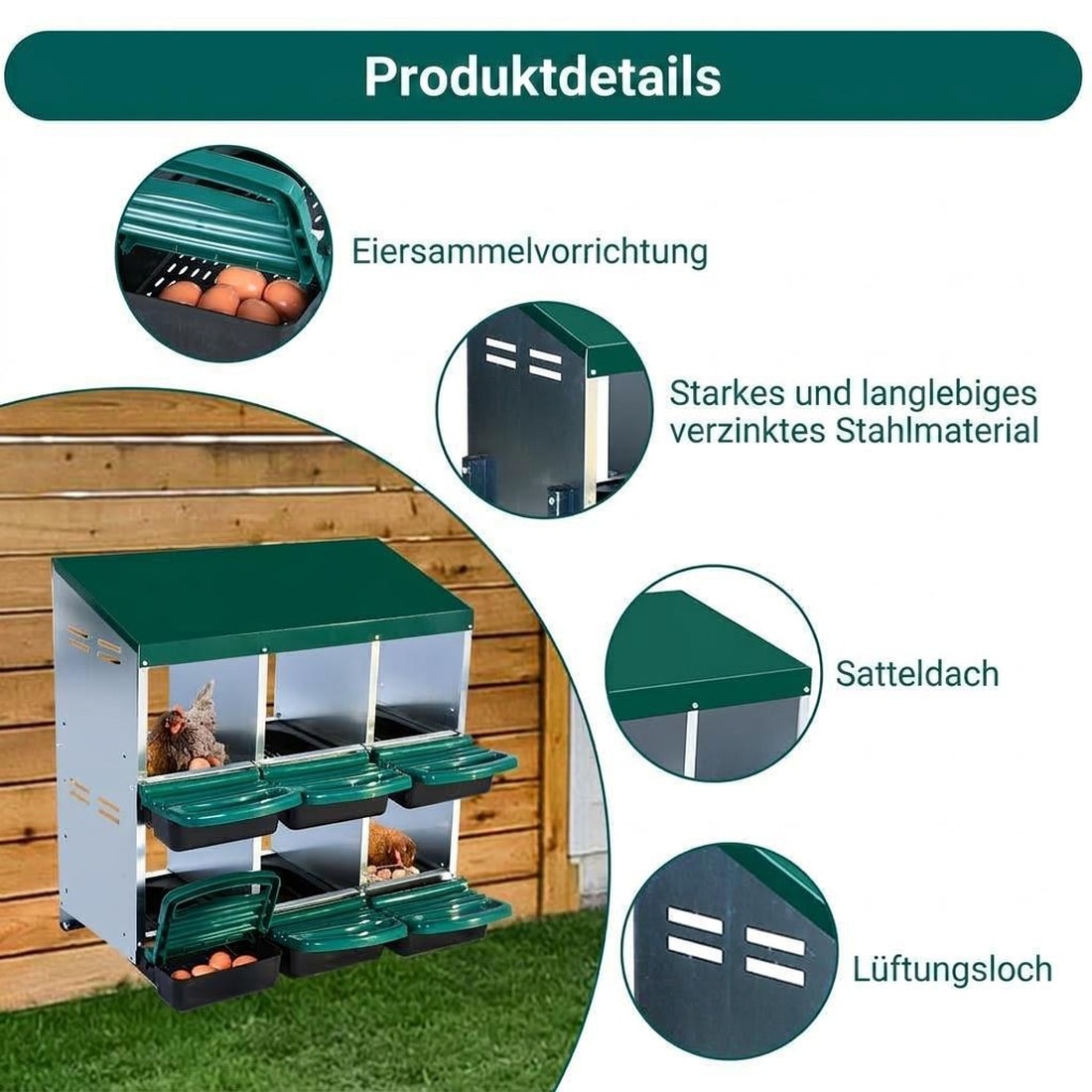 Assile BJPZDJX0S5L0AAI Chicken-Coops-Rabbit-Hutches - View #8