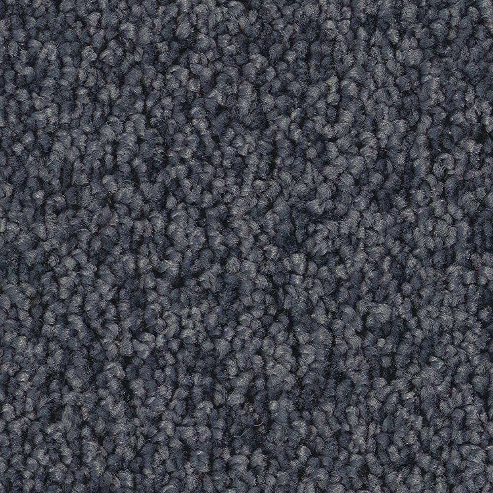 STAINMASTER PetProtect 7L97000402 with LeakDefense Happy Howling I Refined Blue 49-oz sq yard High-performance polyester Textured Indoor Carpet