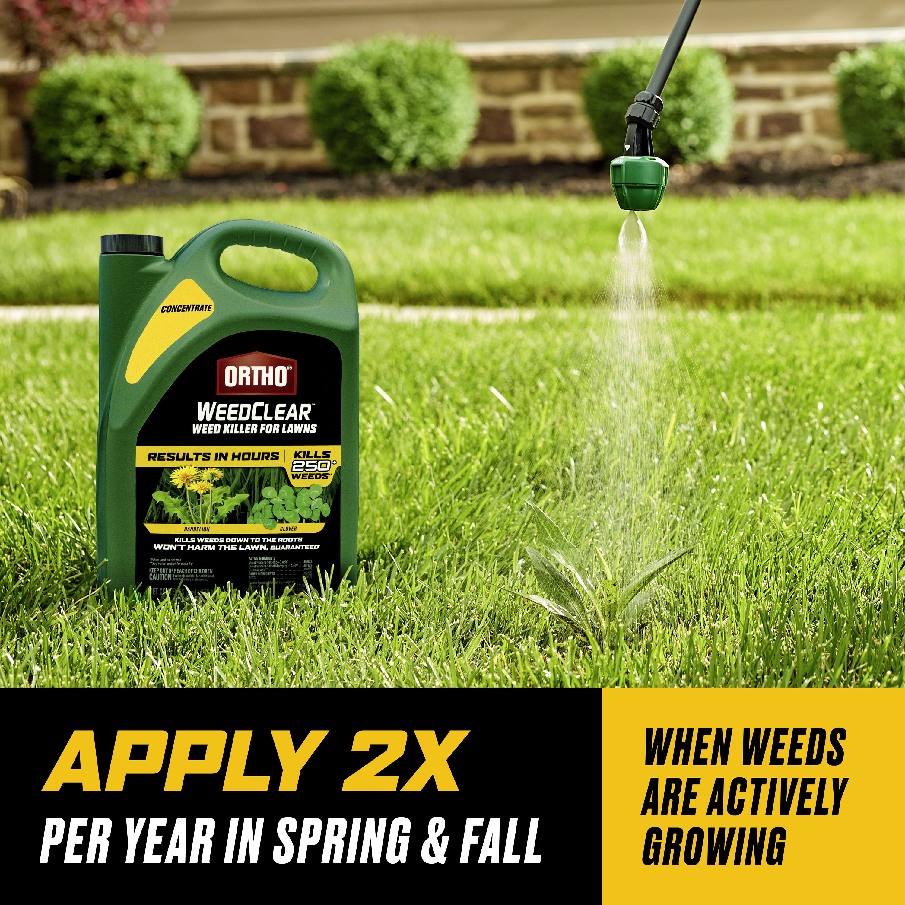 ORTHO 0204810 Weed-Killers - View #6