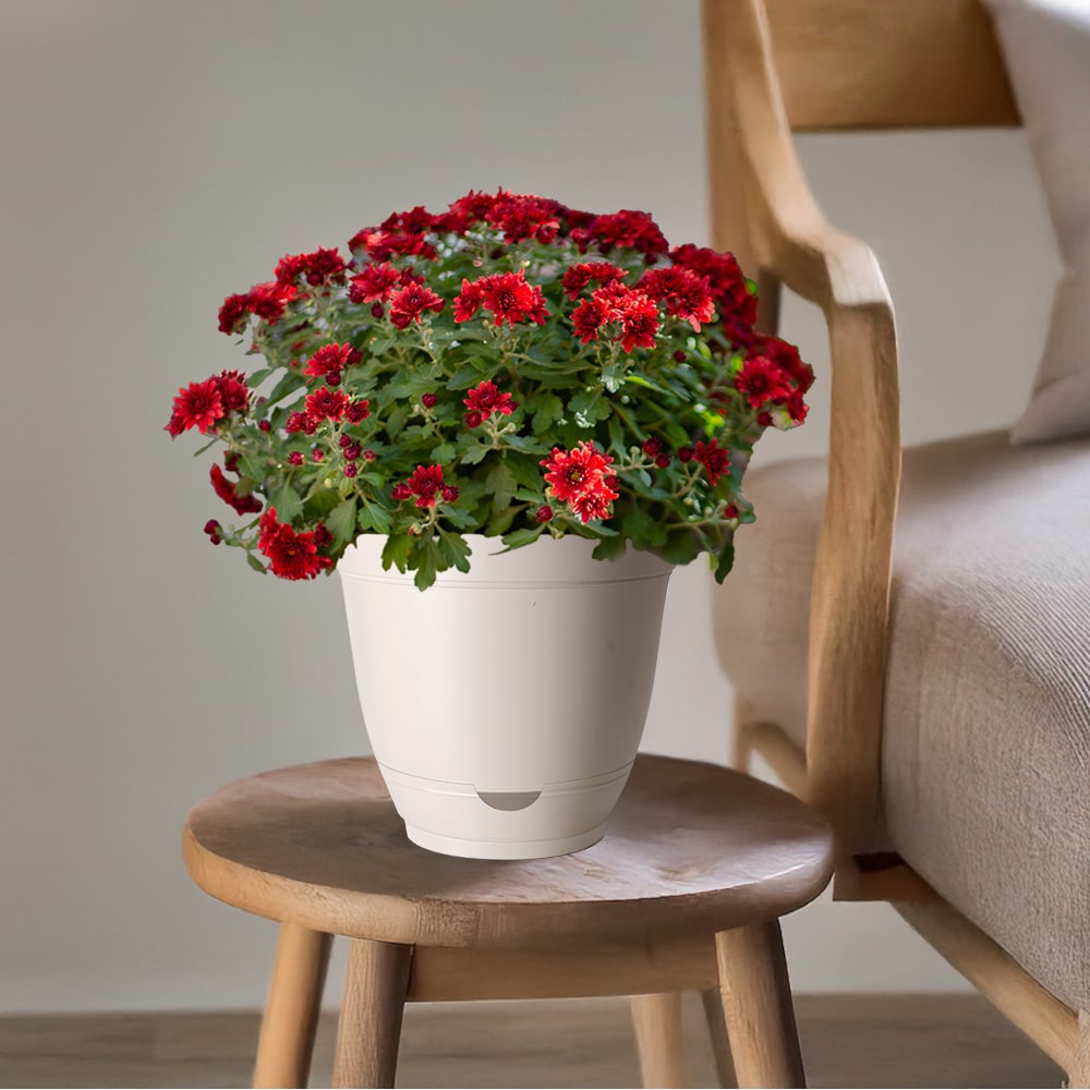 Style Selections DP2132R/DPS2132R-WH Planter-Window-Box - View #4