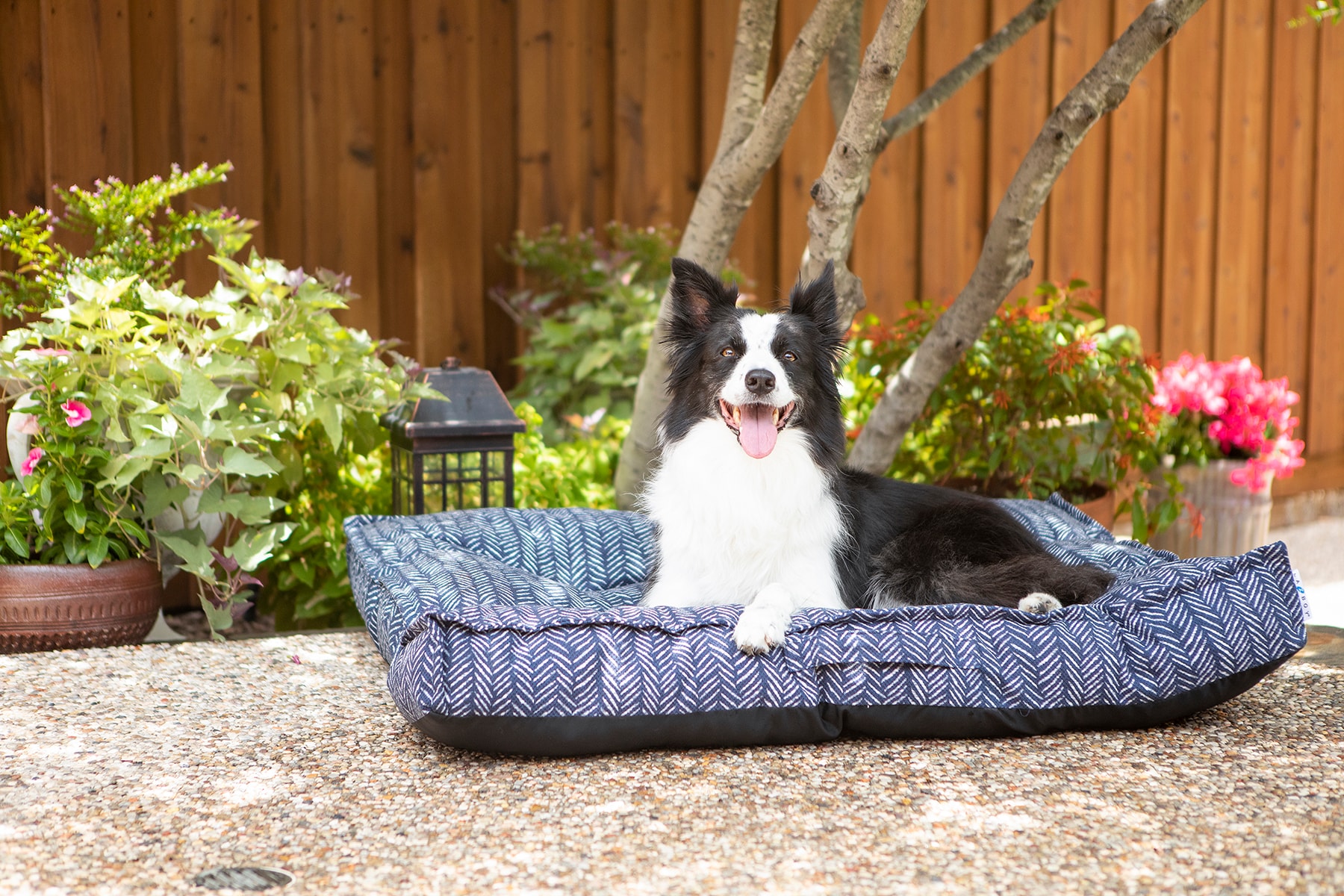 Petmate 80998 Pet-Beds - Thumbnail View #6
