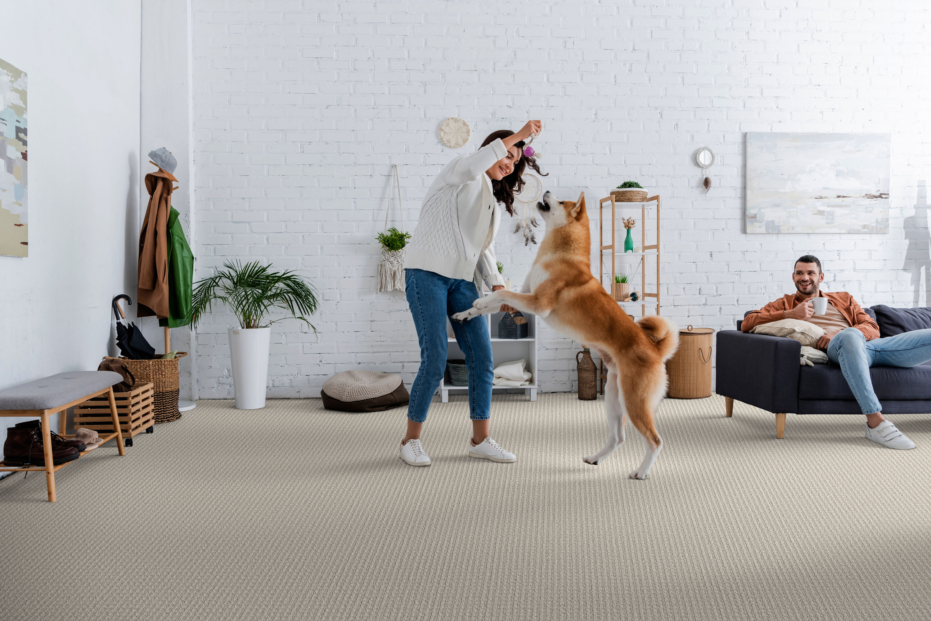STAINMASTER PetProtect 7L885 - 502 - SAMP Carpet-Samples - View #3