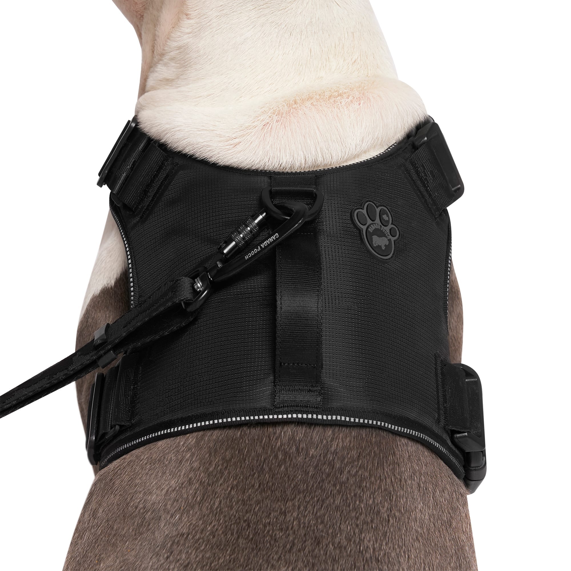 Canada Pooch 12063 Dog-Collars-Harnesses - View #2