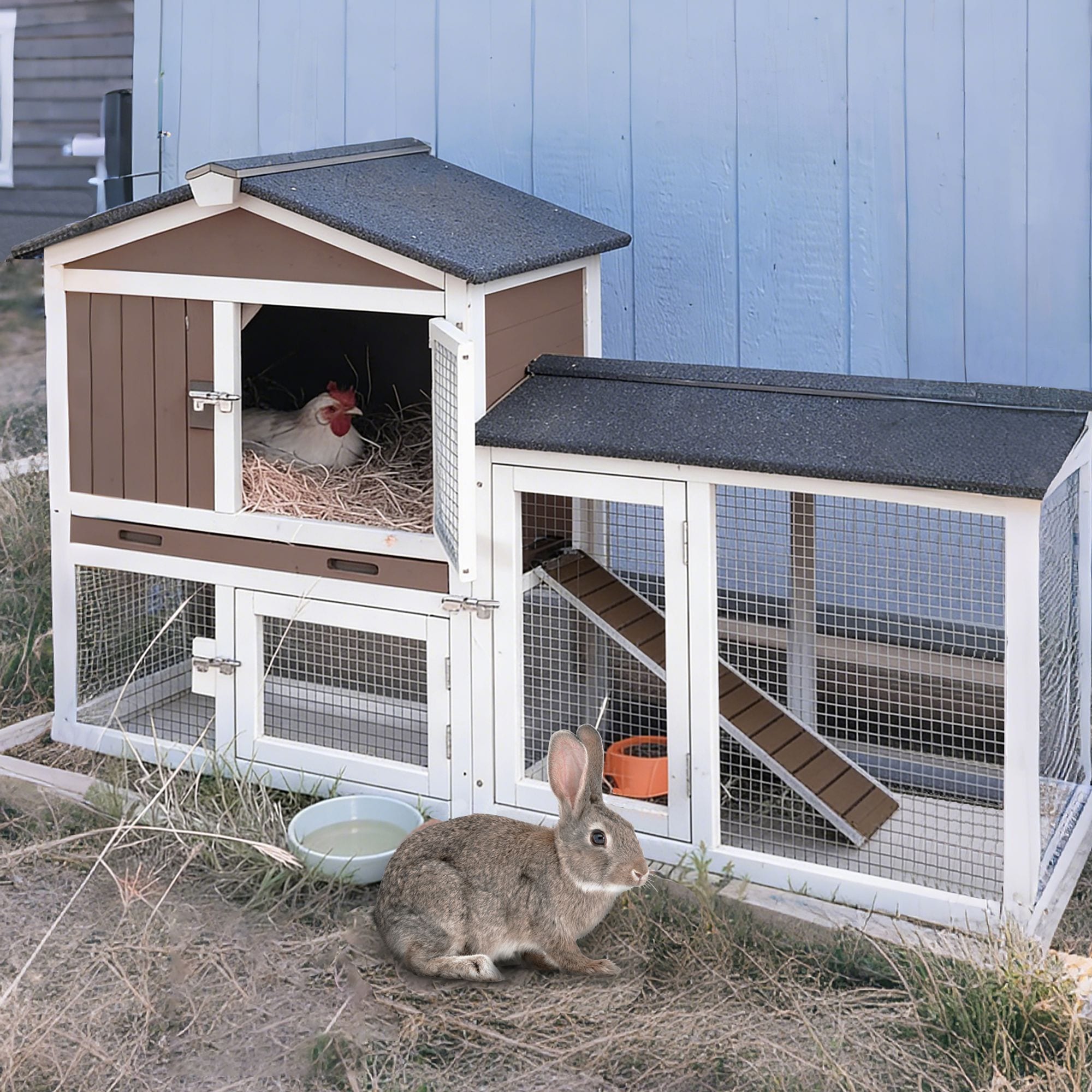 Aivituvin AIR02-B Chicken-Coops-Rabbit-Hutches - View #2