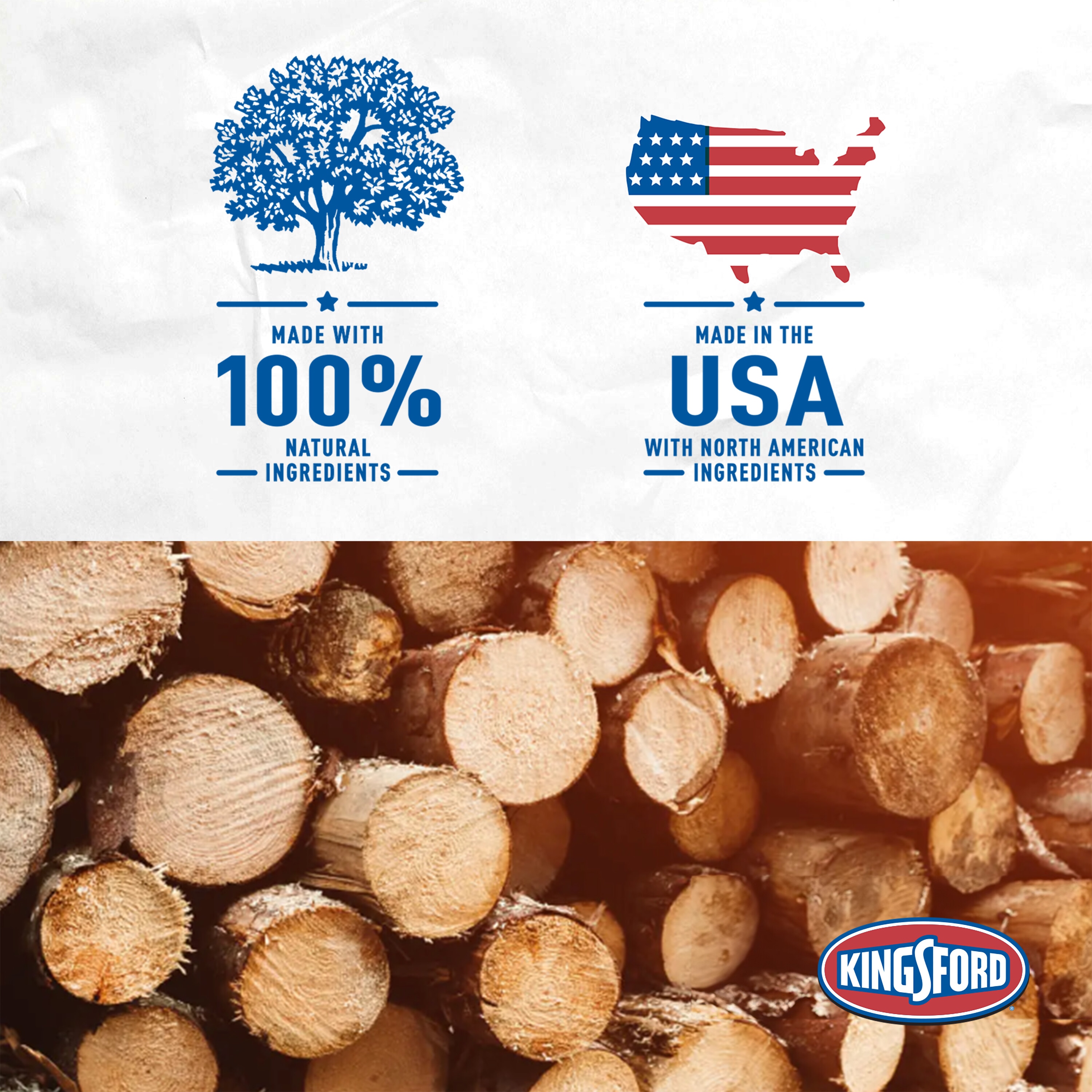 Kingsford 2 Pack 20 lb Charcoal Briquettes 4460032069 at Lowes