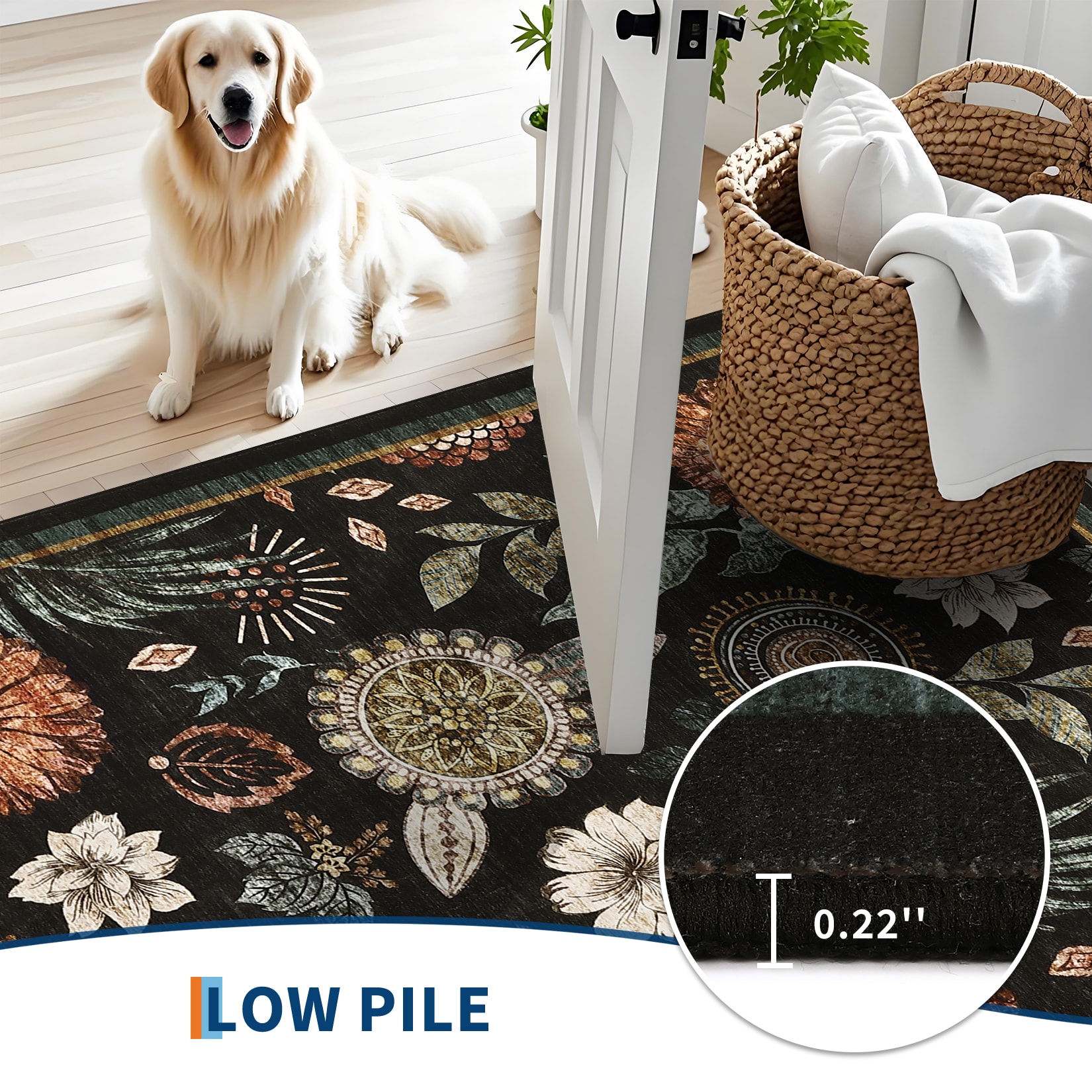 Qeetex SUNNY-PHK-34P5QM8Q rugs - View #6