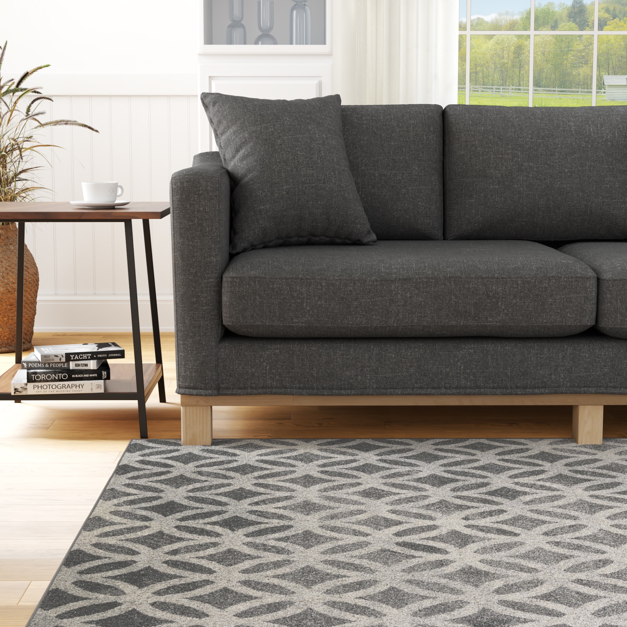 Brookside BS03C6IRG2506BK rugs - View #2