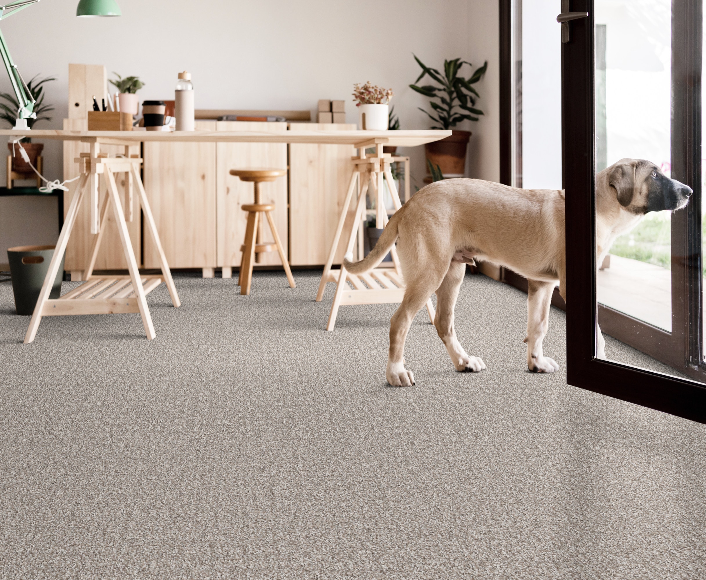 STAINMASTER PetProtect 7L932-114-SAMP Carpet-Samples - View #6