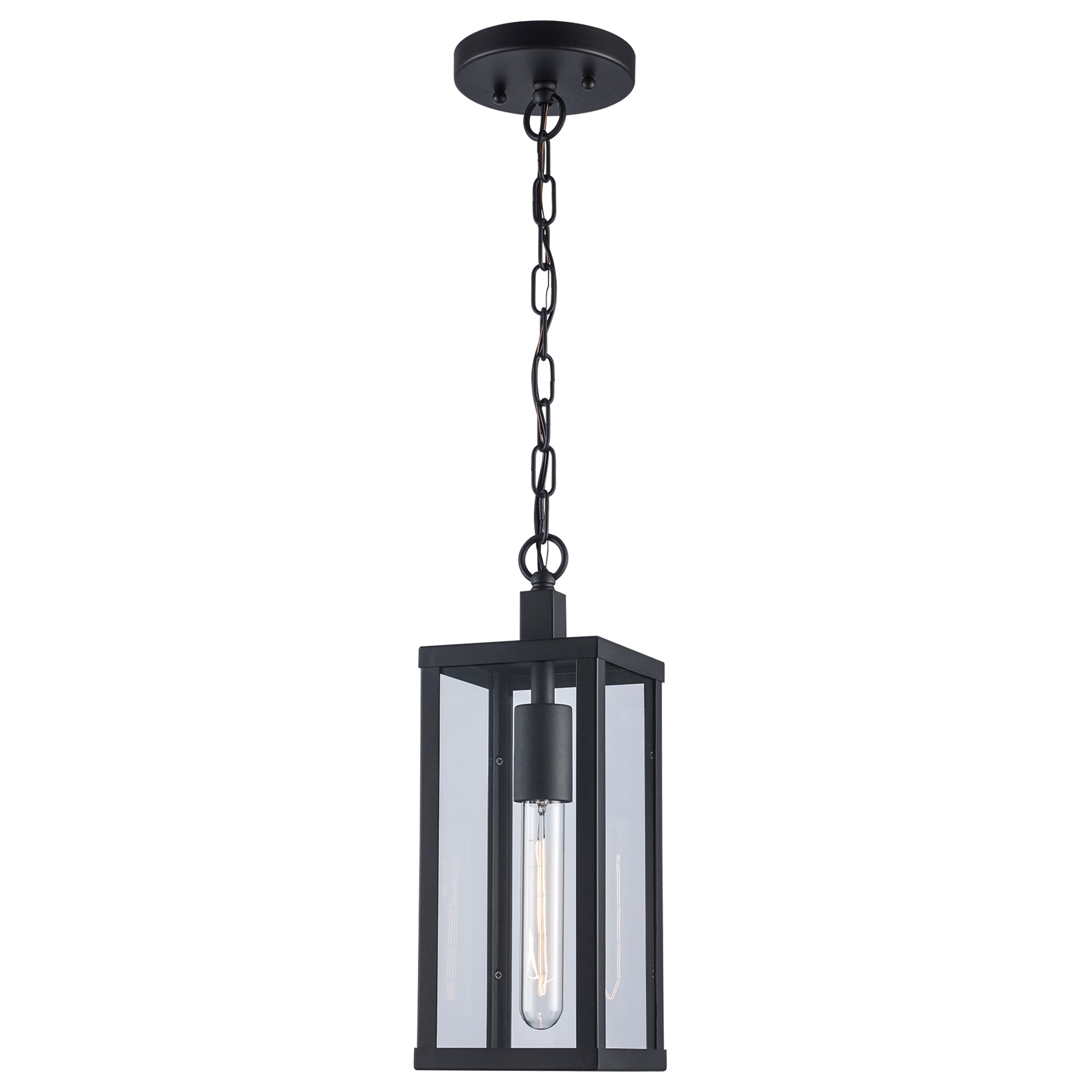 Trans Globe 40756 BK Oxford 1 -Light Black Industrial Clear glass Lantern Medium Outdoor Hanging Pendant light