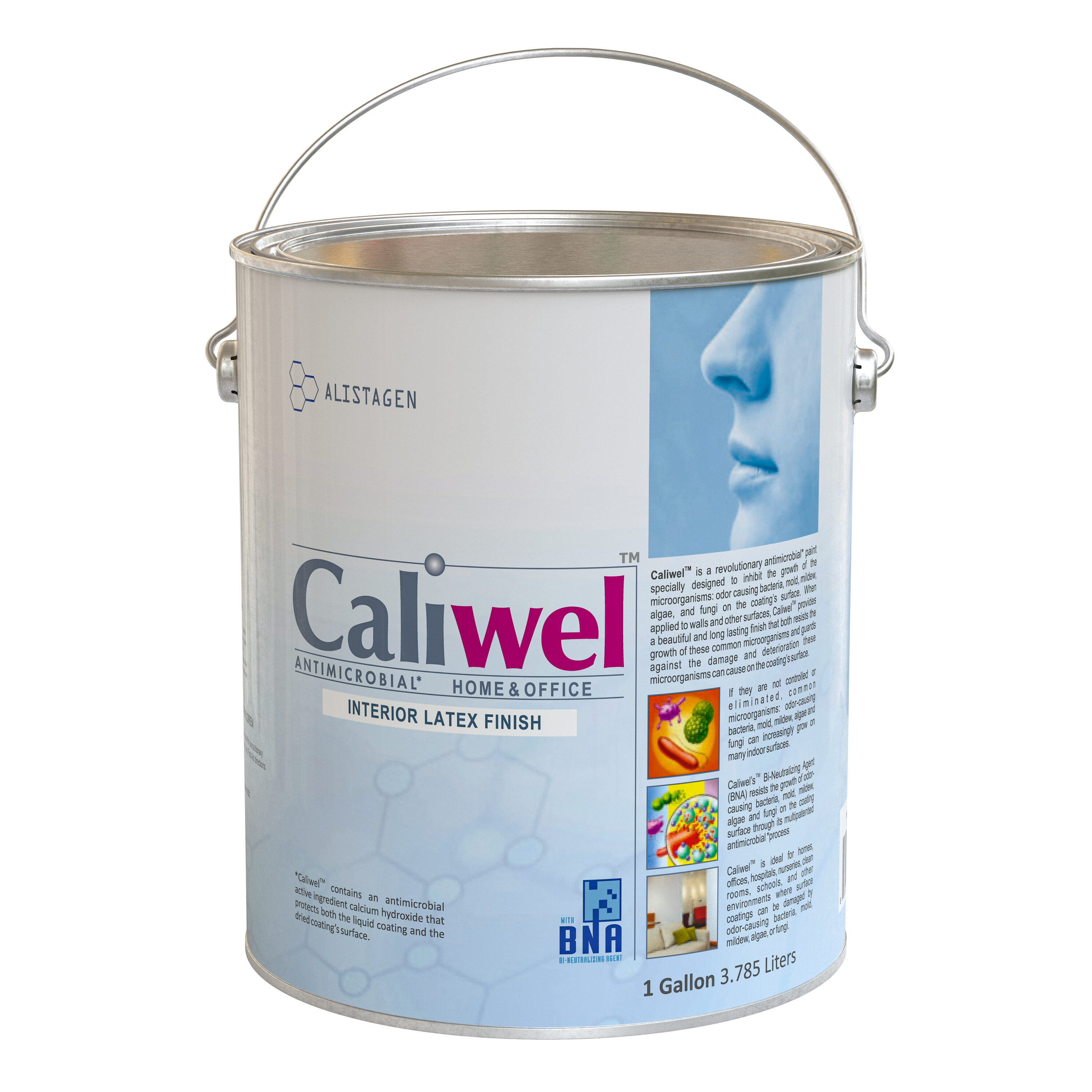 Caliwel 850856A GUARDIAN WHITE Eggshell Interior wall paint egg-shell Limewash Lime Interior Paint ( 1-gallon )