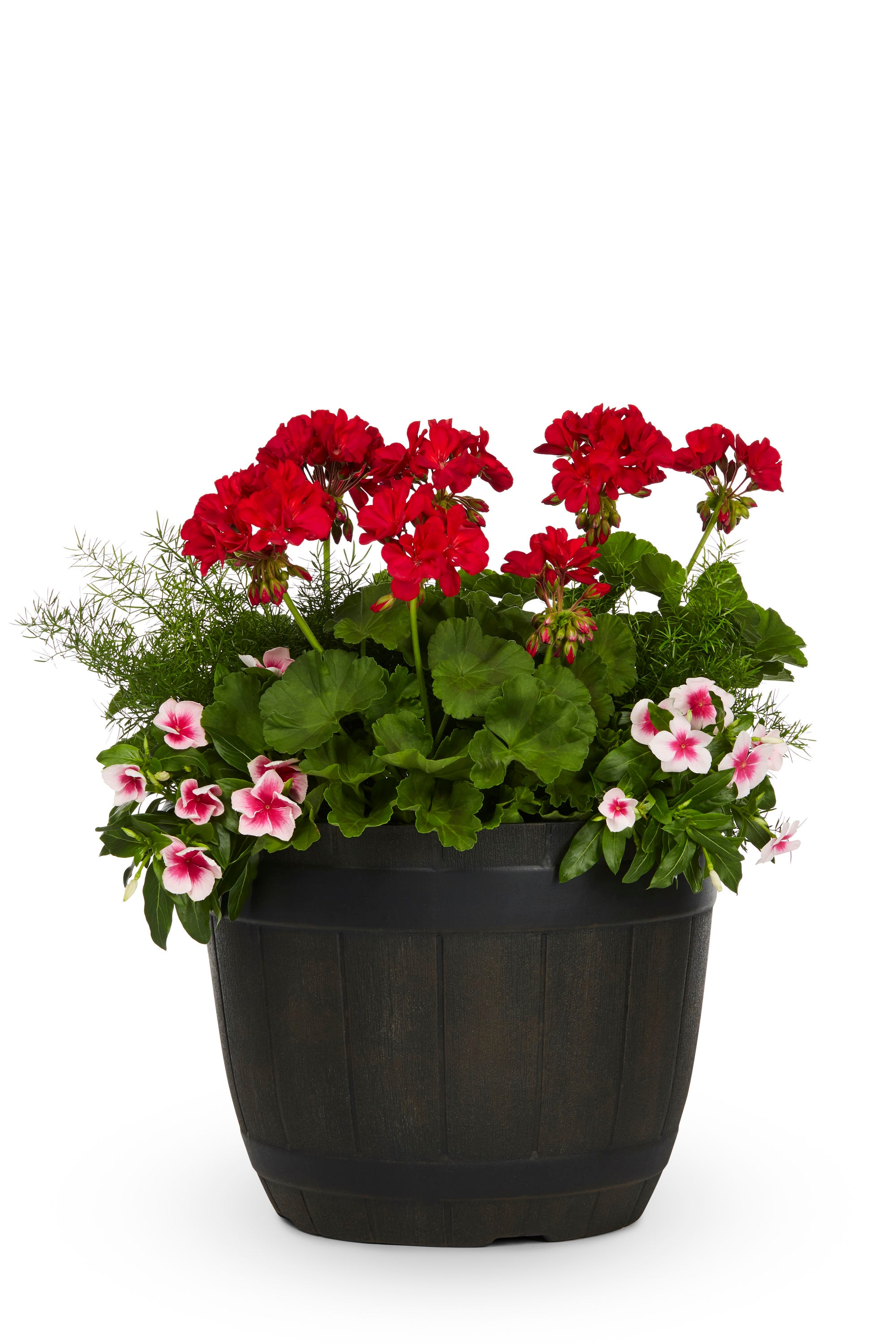 Lowe's NURSERY Multicolor Mixed Annuals Combinations in 2.5-Gallon Planter