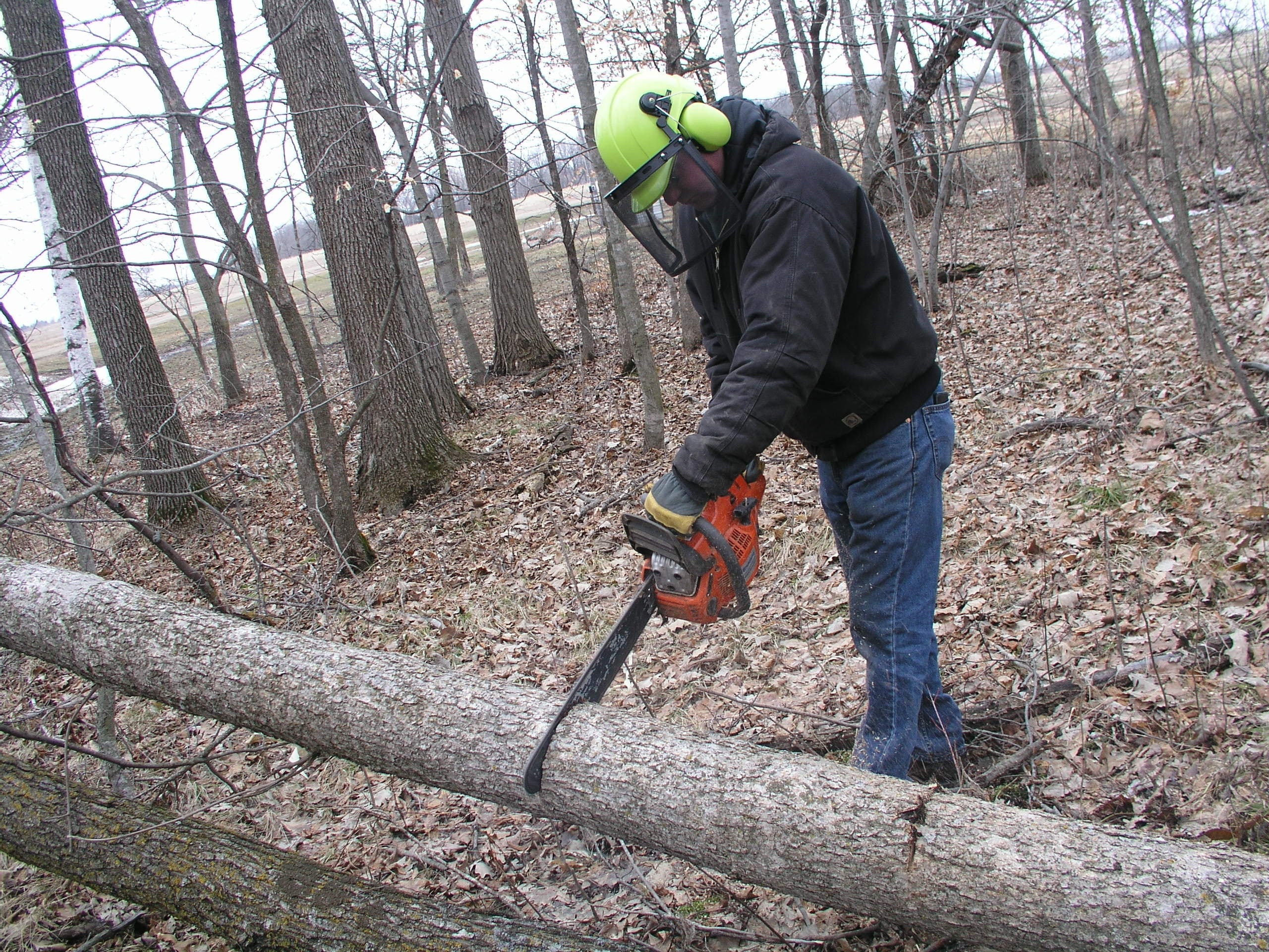 Timber Tuff TMW-09 Misc-Chain-Saw-Access - View #2