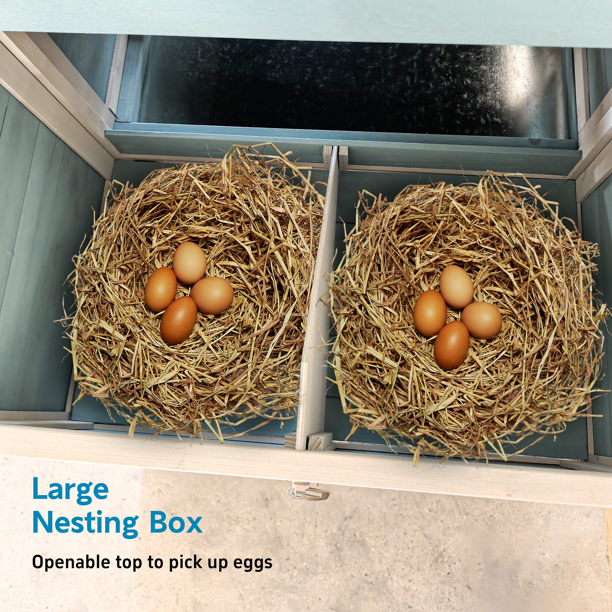 Tatayosi T2-3P335211 Chicken-Coops-Rabbit-Hutches - View #10