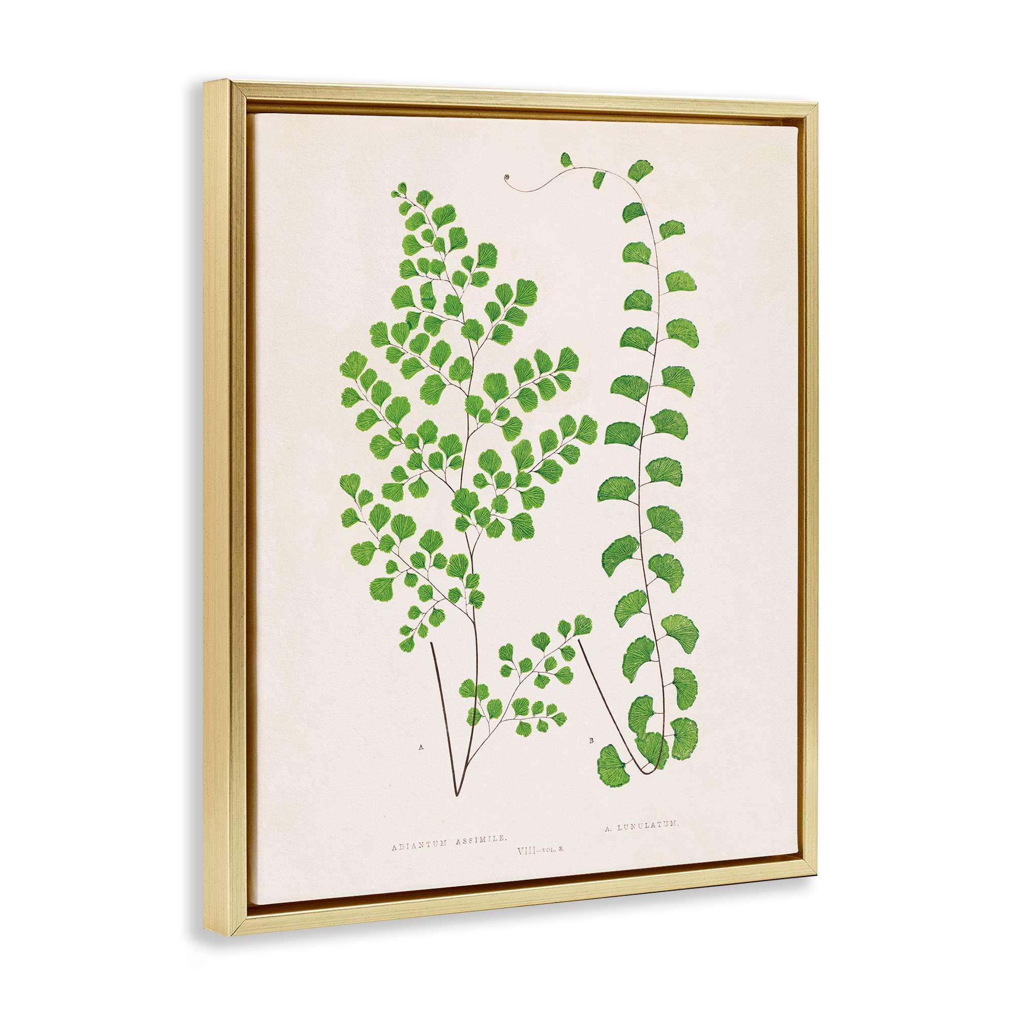 Stupell Industries BT-465-FFG-24X30 Wall-Art - View #2