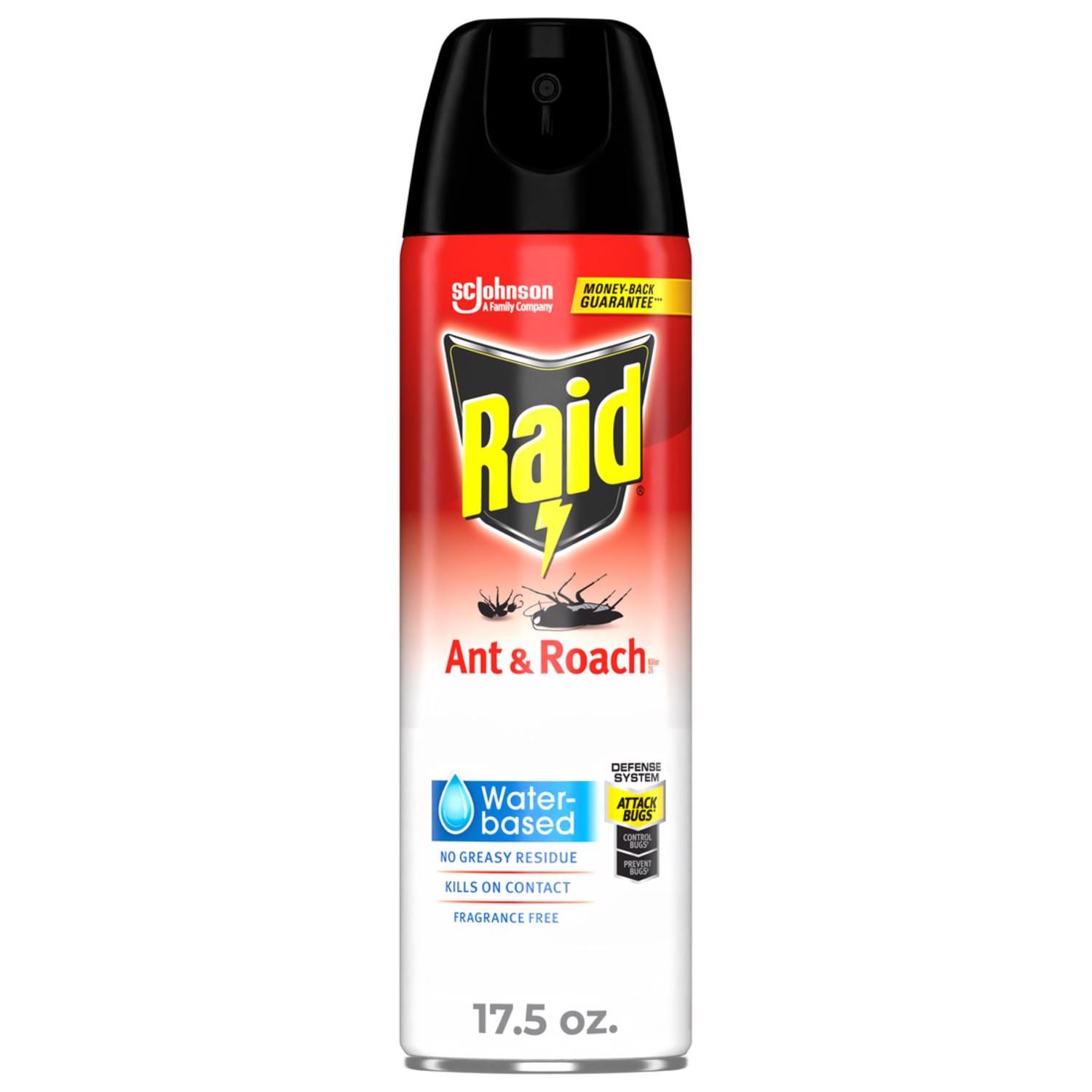 Raid  Ant and Roach Killer Spray 17.5 oz