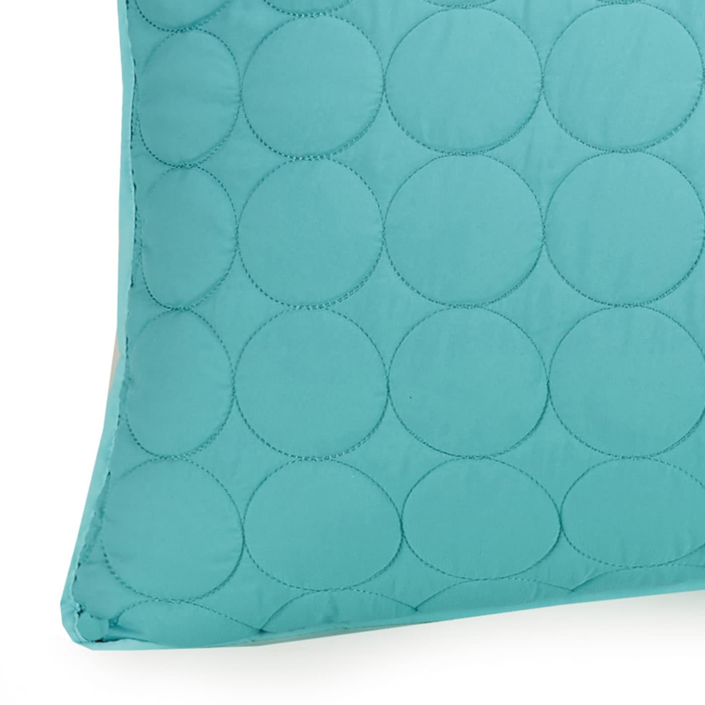 Aqua Blue Twin Reversible Microfiber Kids Quilt Set