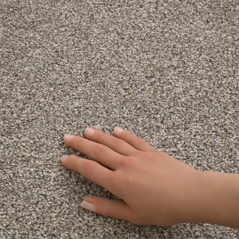 STAINMASTER 7L957-105-SAMP Carpet-Samples - View #4