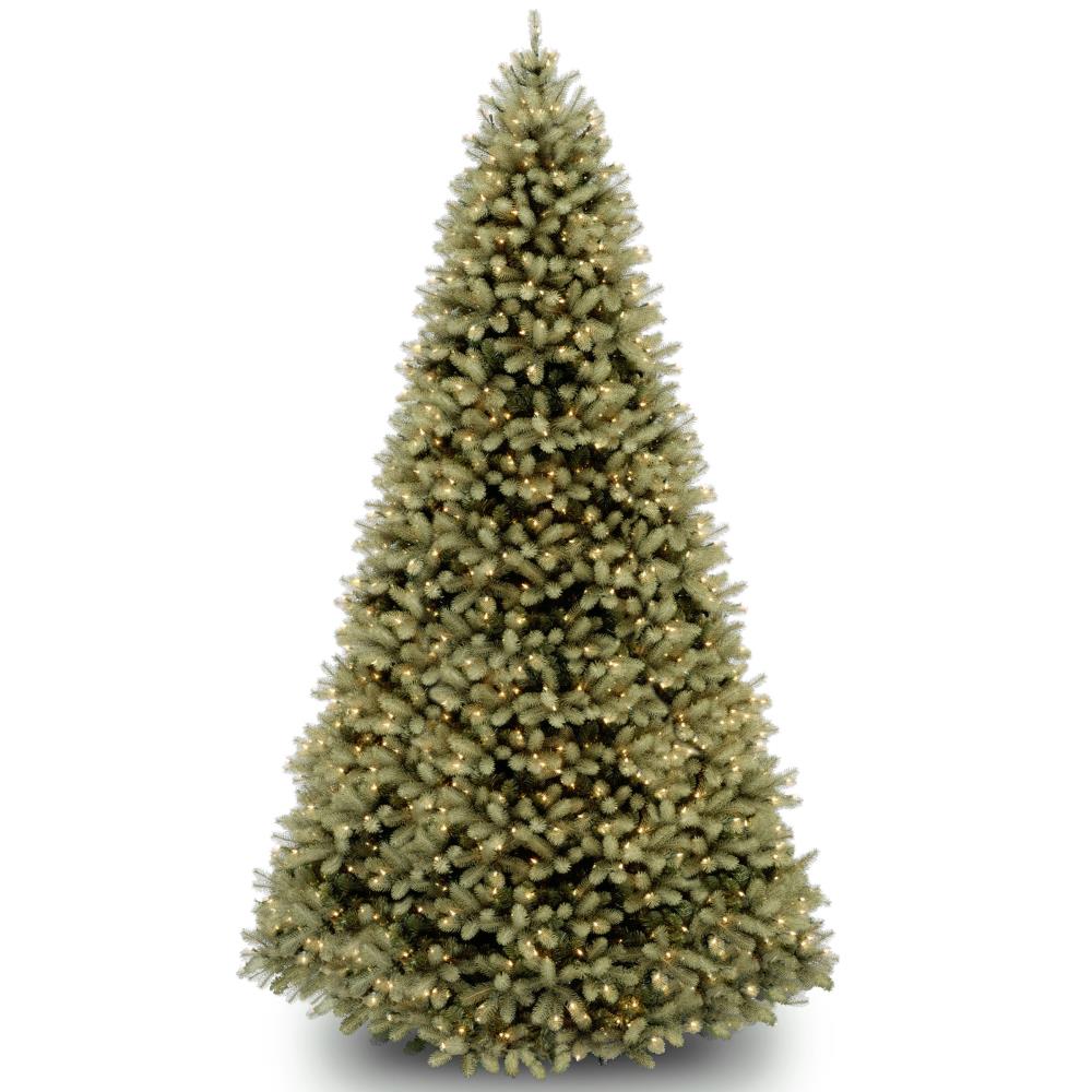 Photo 1 of National Tree Company 9-ft Douglas Fir Pre-lit Artificial Christmas Tree with LED Lights