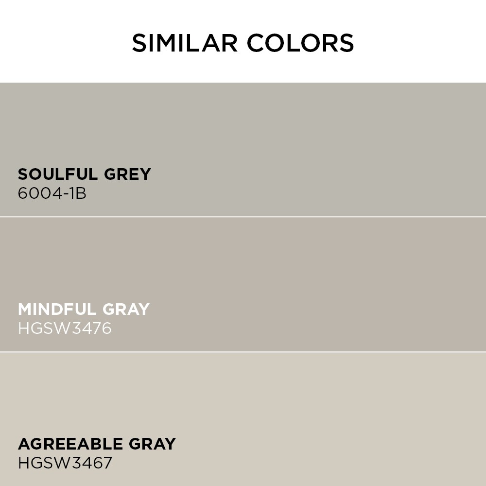 Valspar Signature Satin Dorian Gray Hgsw3475 Latex Interior Paint ...