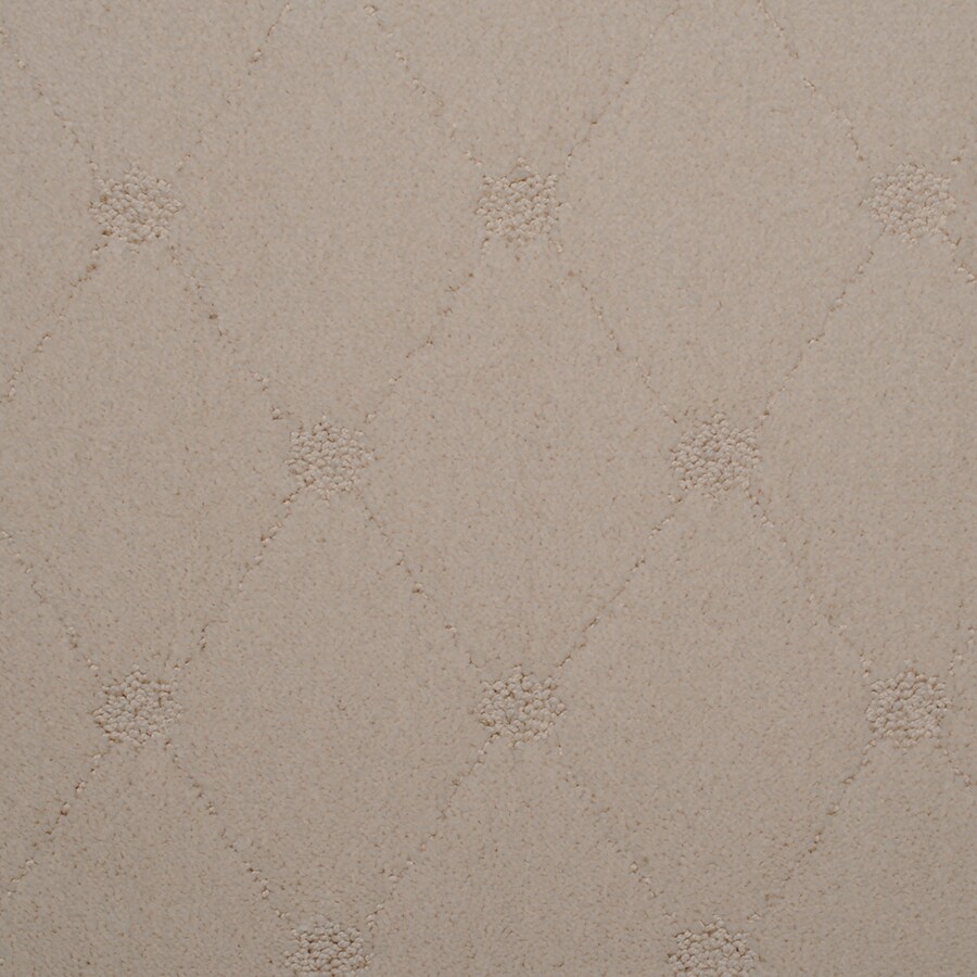 STAINMASTER S563754FLUFFY-RNER (Sample) TruSoft Hunts Corner Fluffy Pattern Carpet
