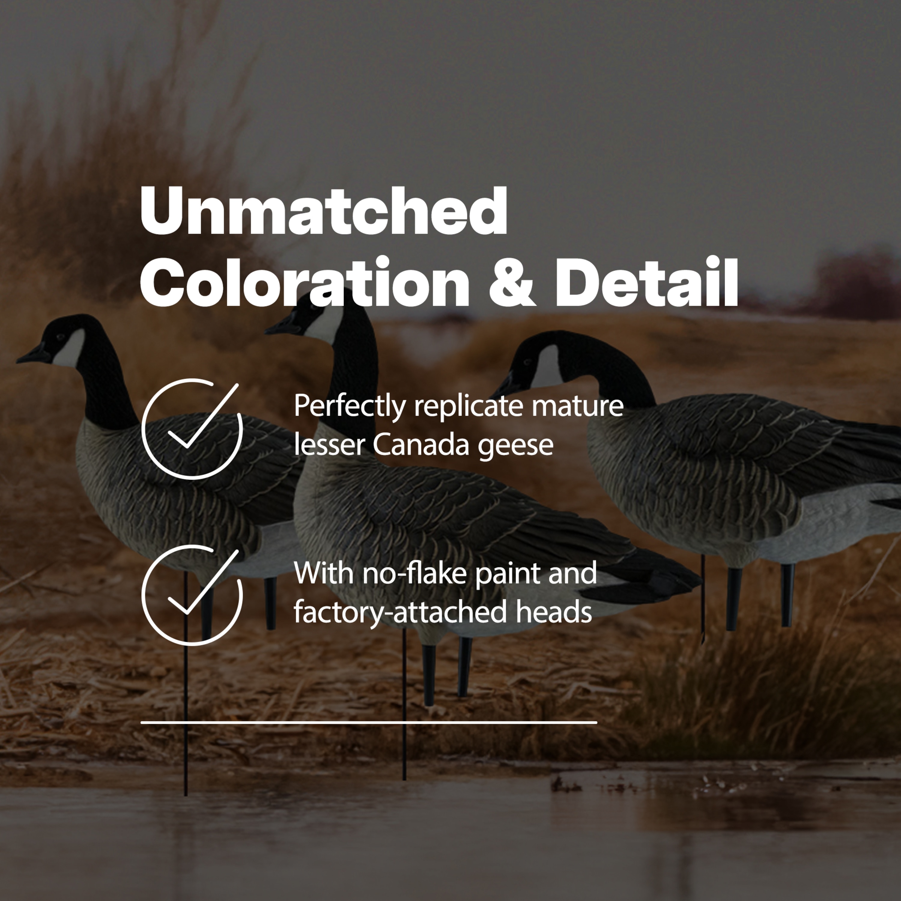 Avian X 399279 Hunting-Equipment - View #3