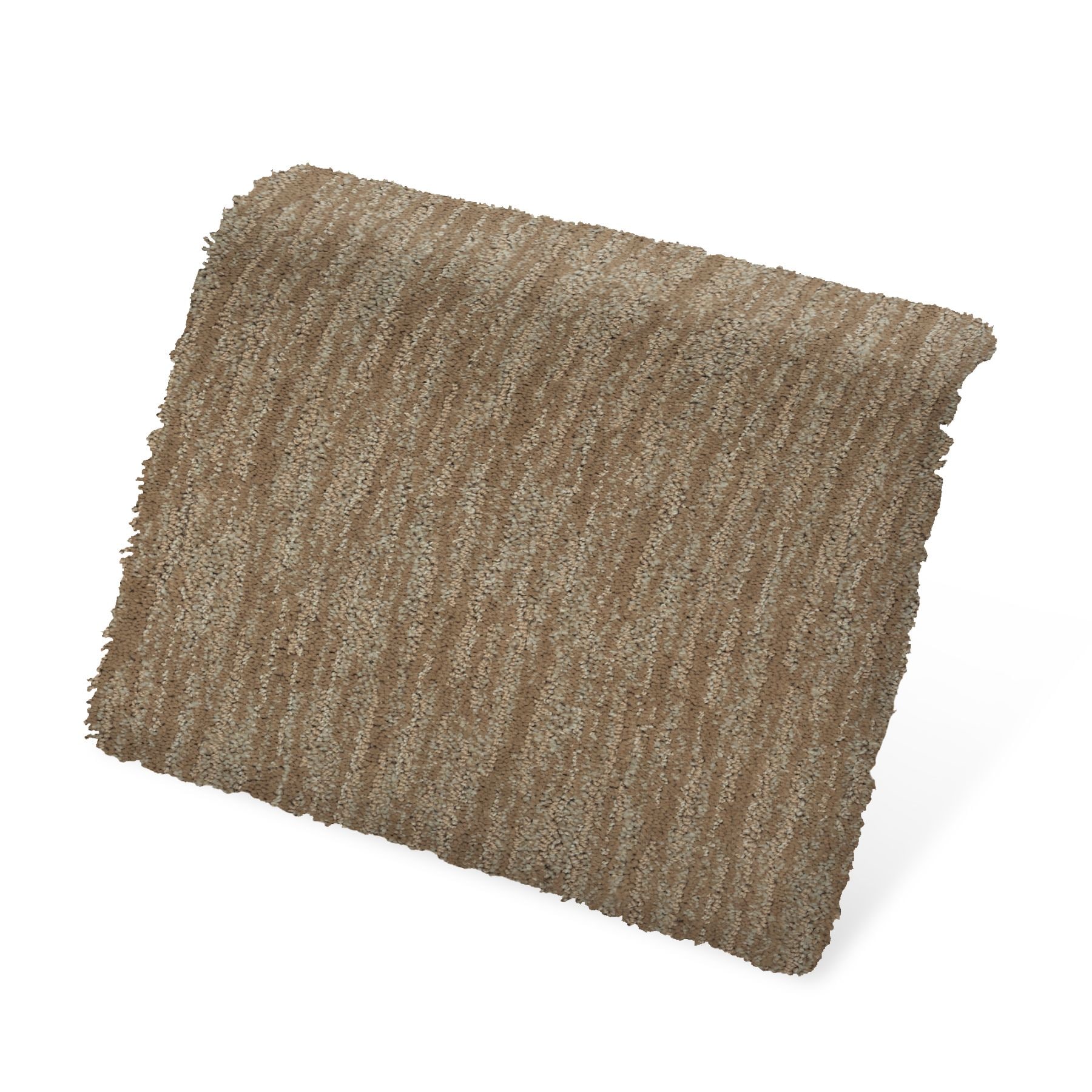 STAINMASTER PetProtect SS056-L007-S0808 Carpet-Samples - View #3