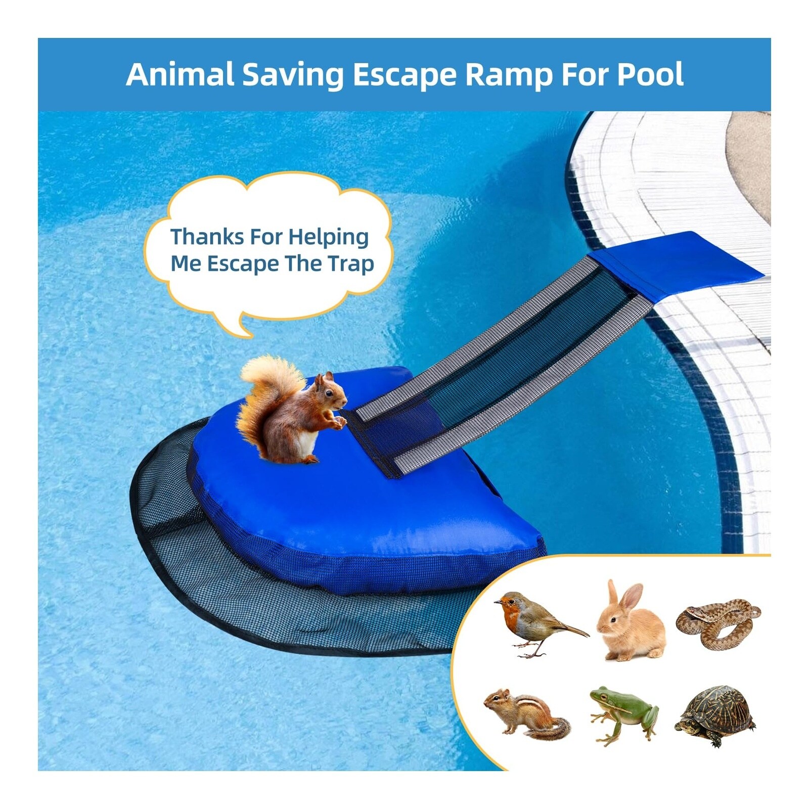 Phewnyzo LPW0821W1449 Pool-Cleaning-Acc - View #2