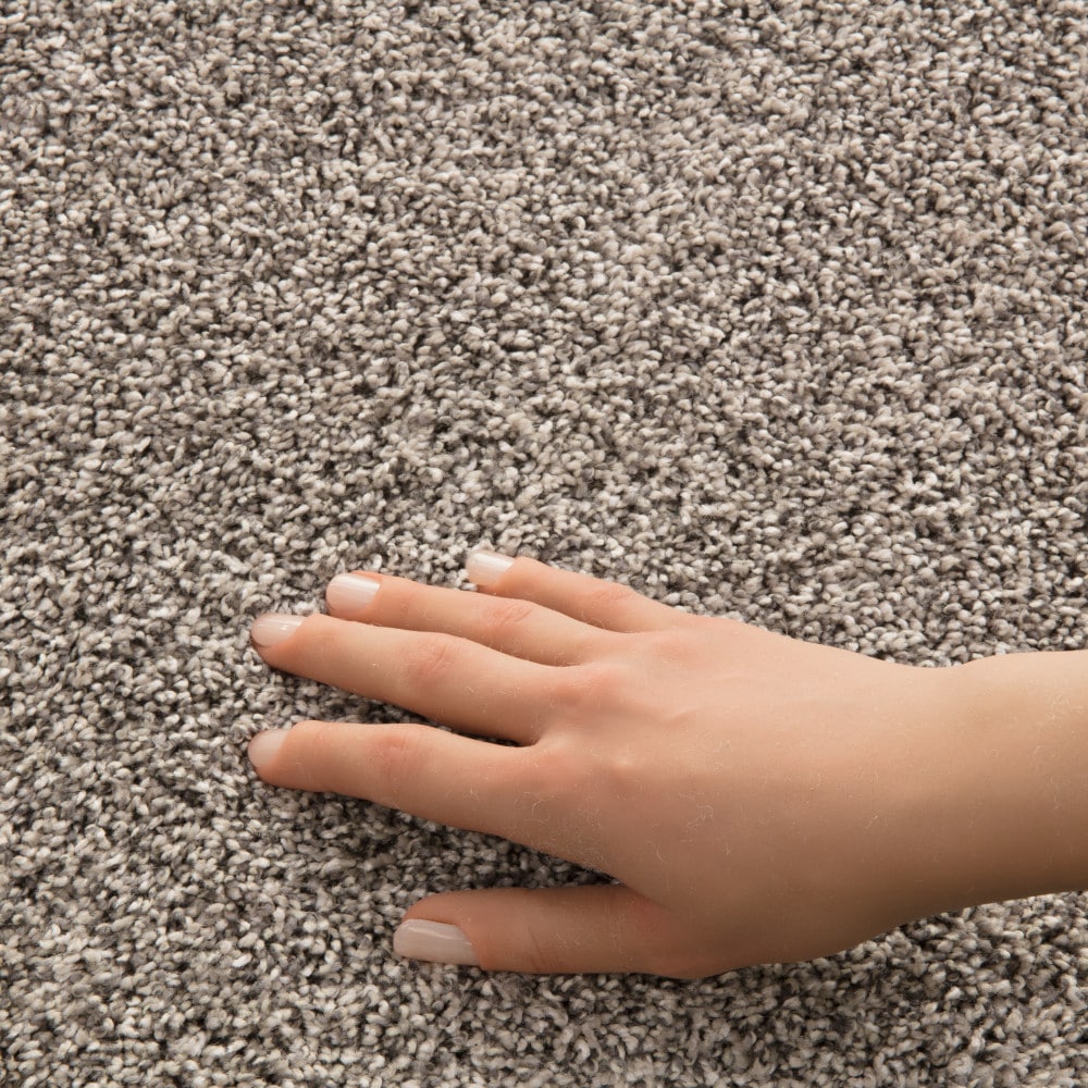 STAINMASTER PetProtect 7L965-126-SAMP Carpet-Samples - View #4